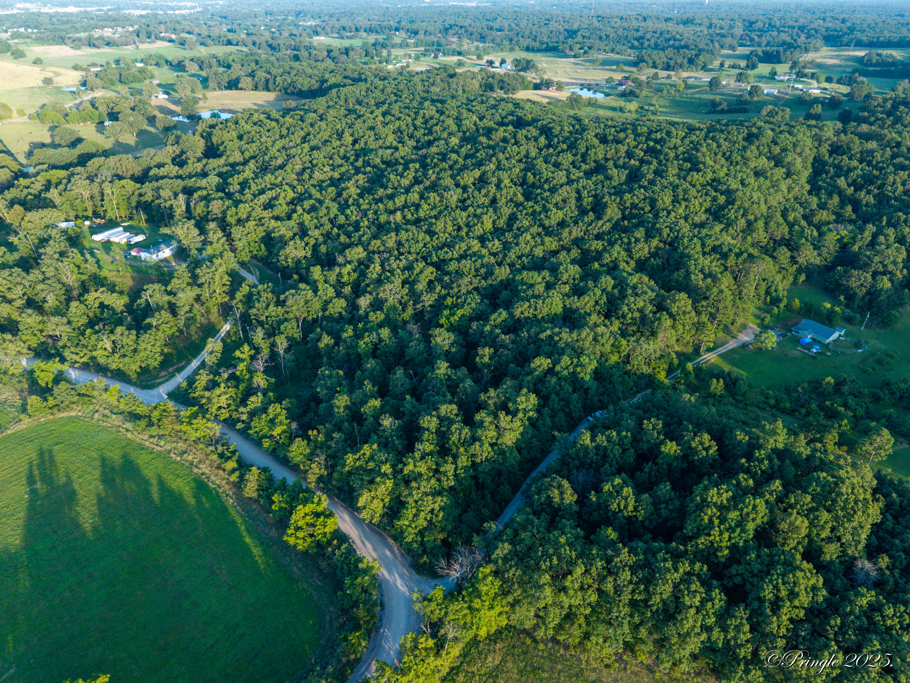 Photo 16 - Land for sale – 000  County Road 4290   West Plains, MO
