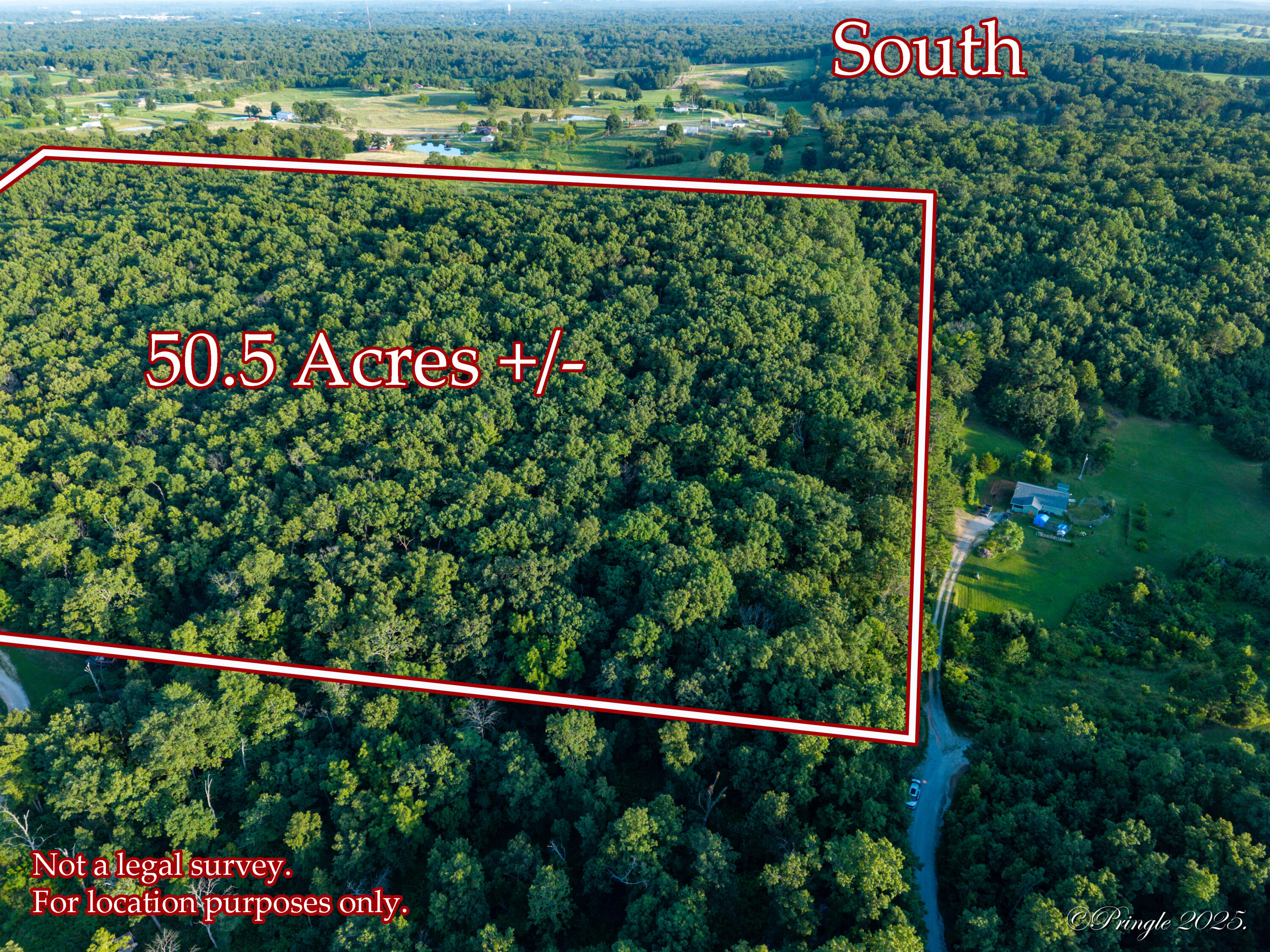Photo 4 - Land for sale – 000  County Road 4290   West Plains, MO