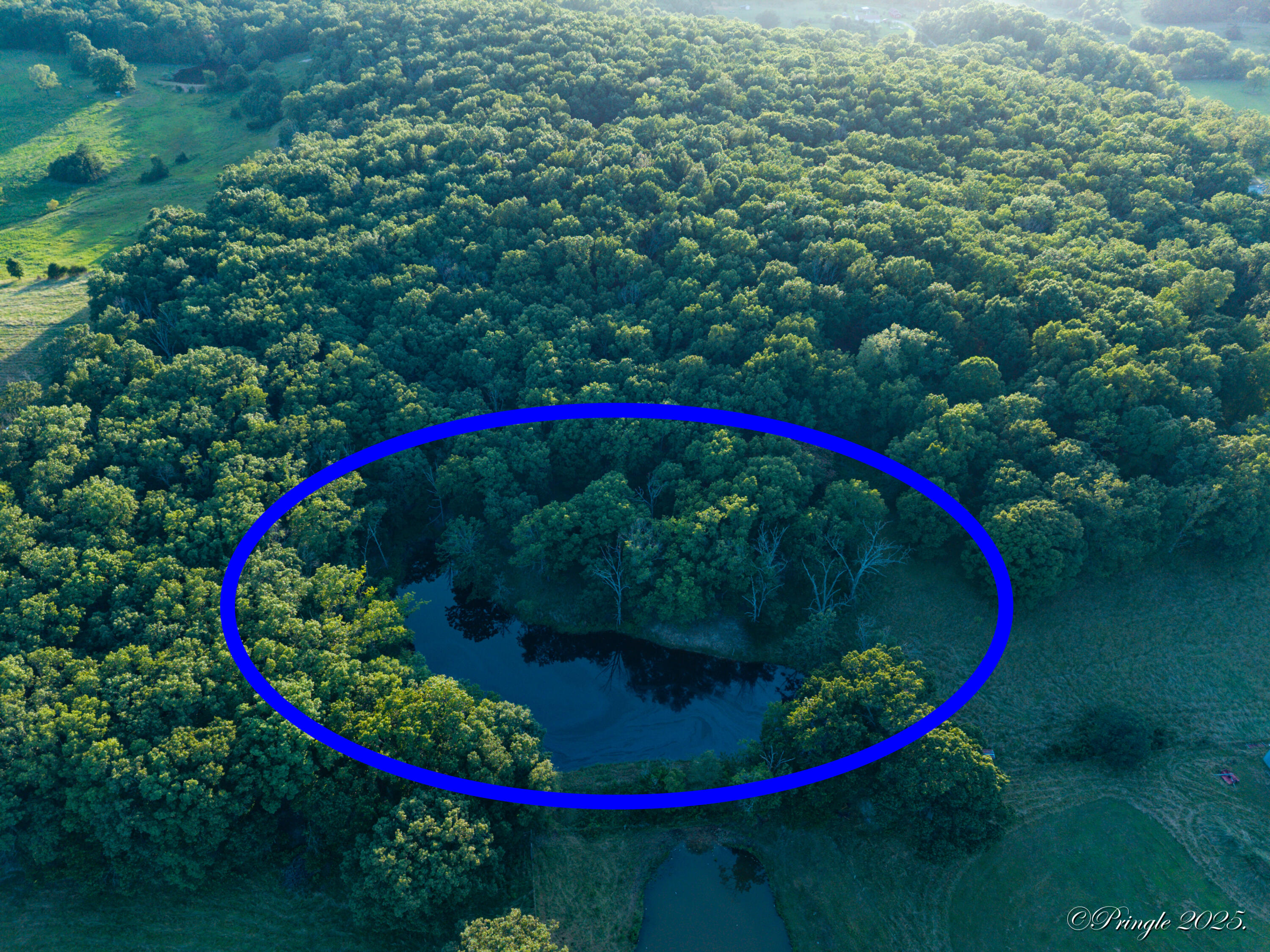 Photo 8 - Land for sale – 000  County Road 4290   West Plains, MO