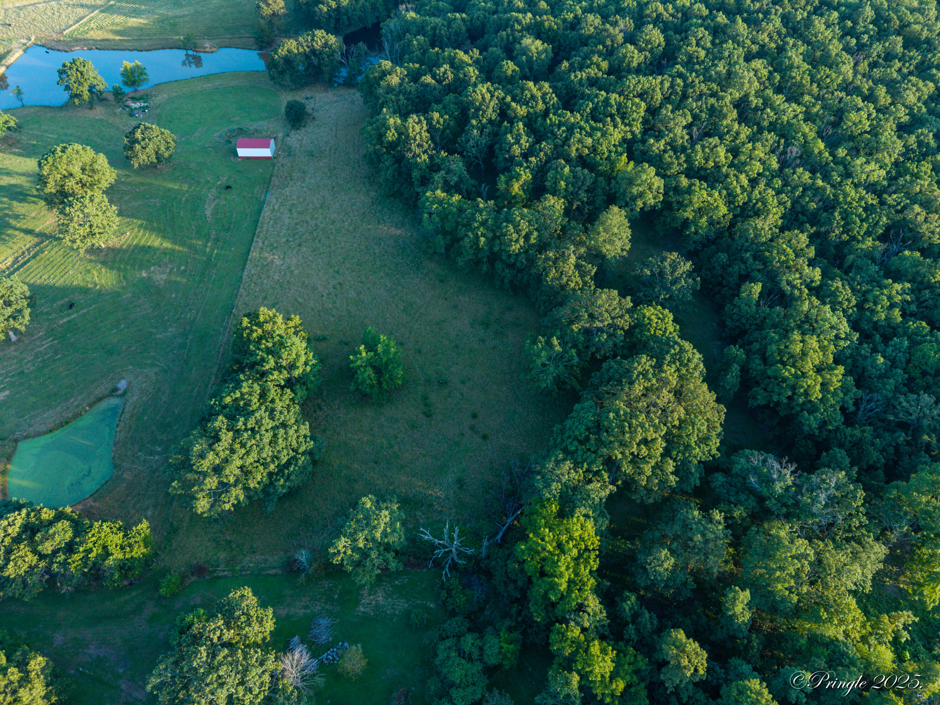 Photo 15 - Land for sale – 000  County Road 4290   West Plains, MO