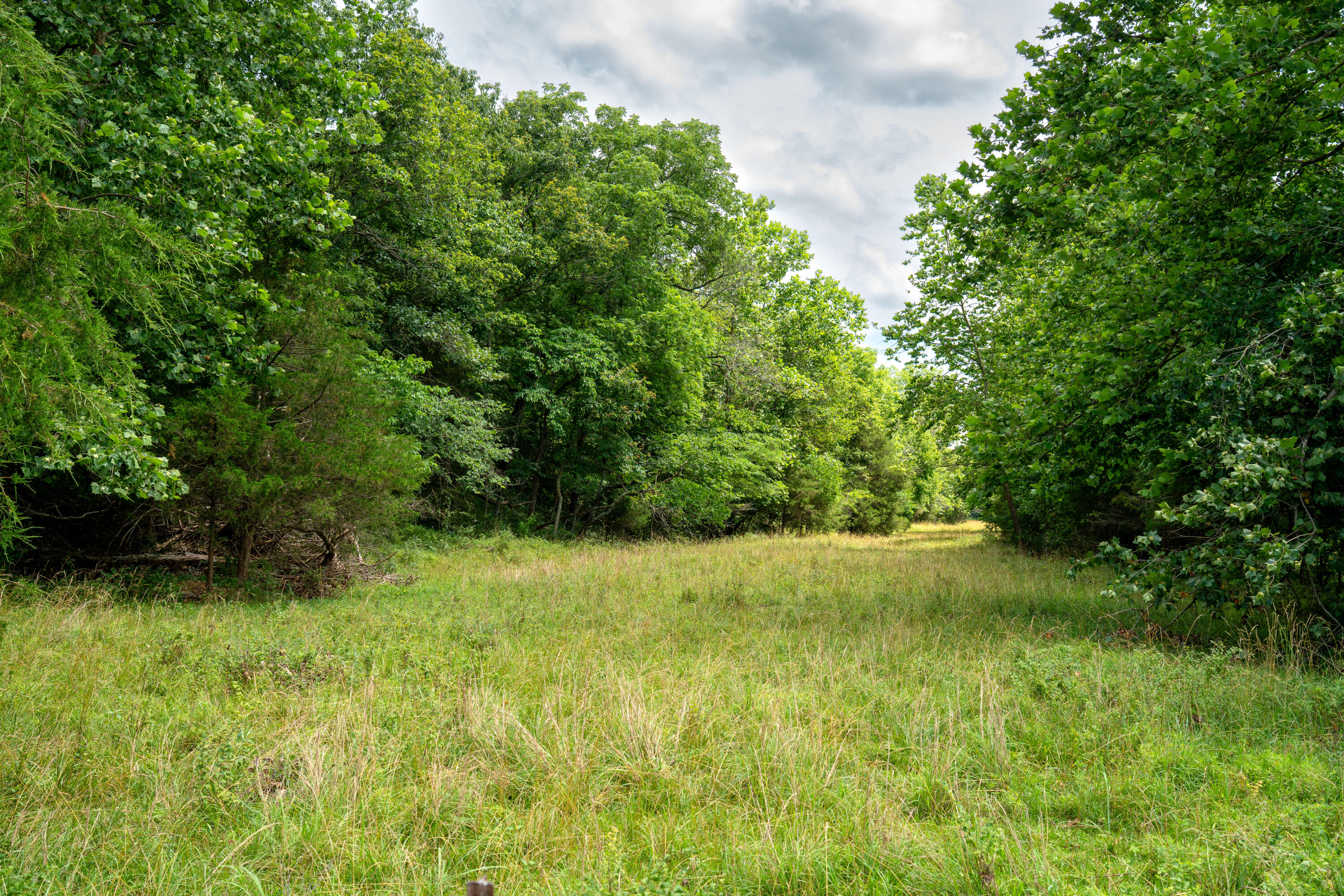 Photo 79 - Farm for sale – 15576  State Highway 76   Ava, MO