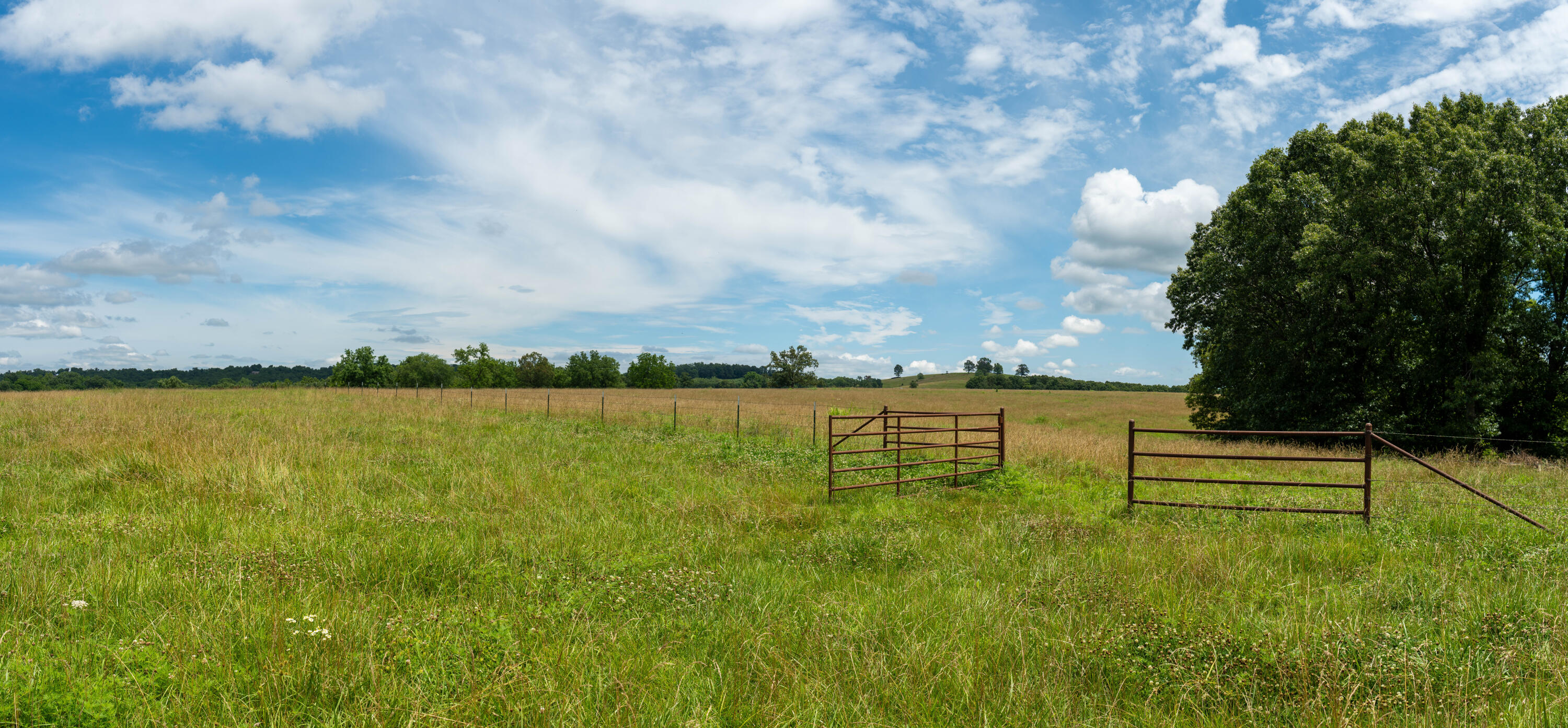 Photo 71 - Farm for sale – 15576  State Highway 76   Ava, MO