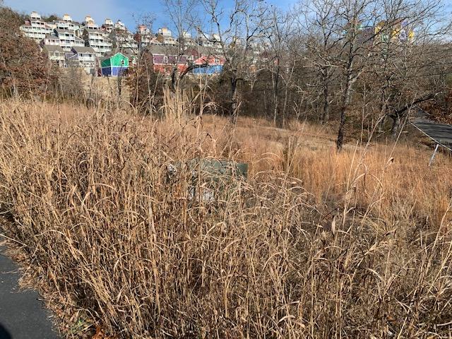 Photo 2 - Land for sale – Lot 1  Cedar Landing Subdivision   Branson, MO
