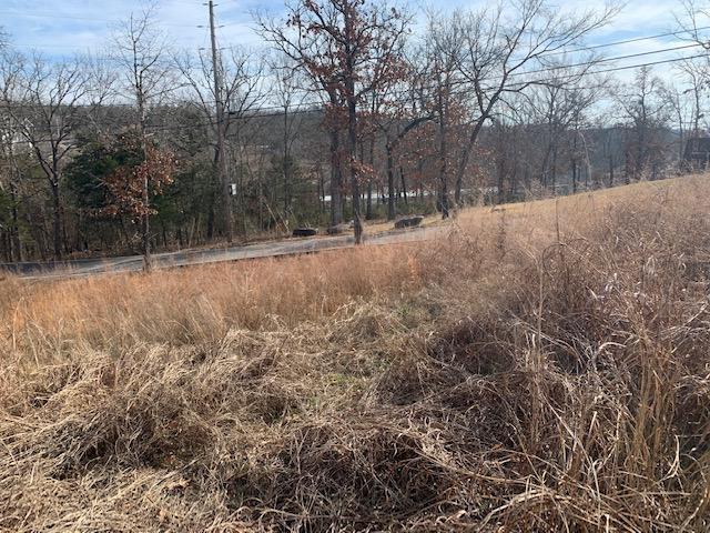 Photo 4 - Land for sale – Lot 1  Cedar Landing Subdivision   Branson, MO