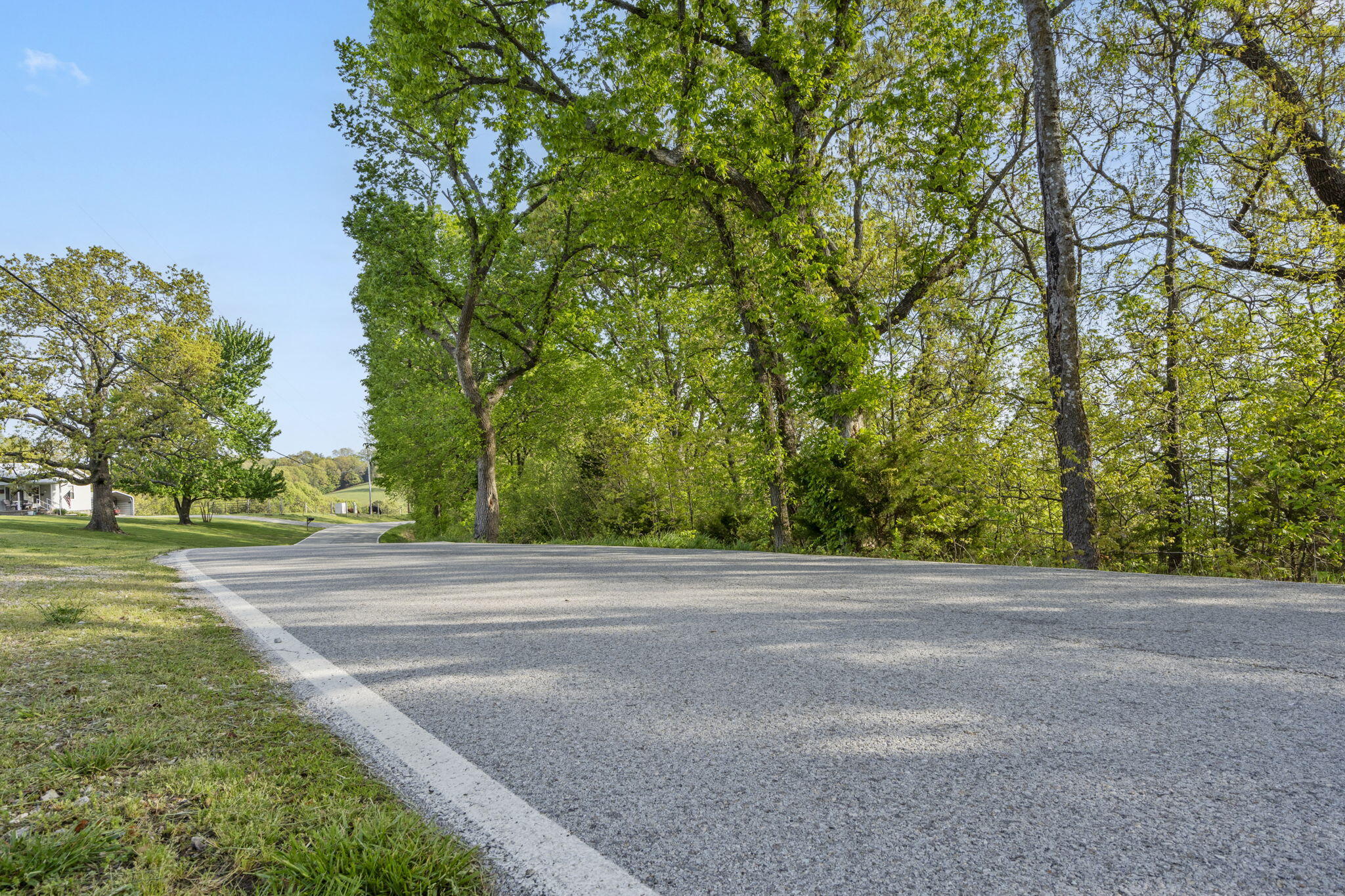 Photo 5 - Land for sale – Lot 2  Cambridge Drive  Blue Eye, MO