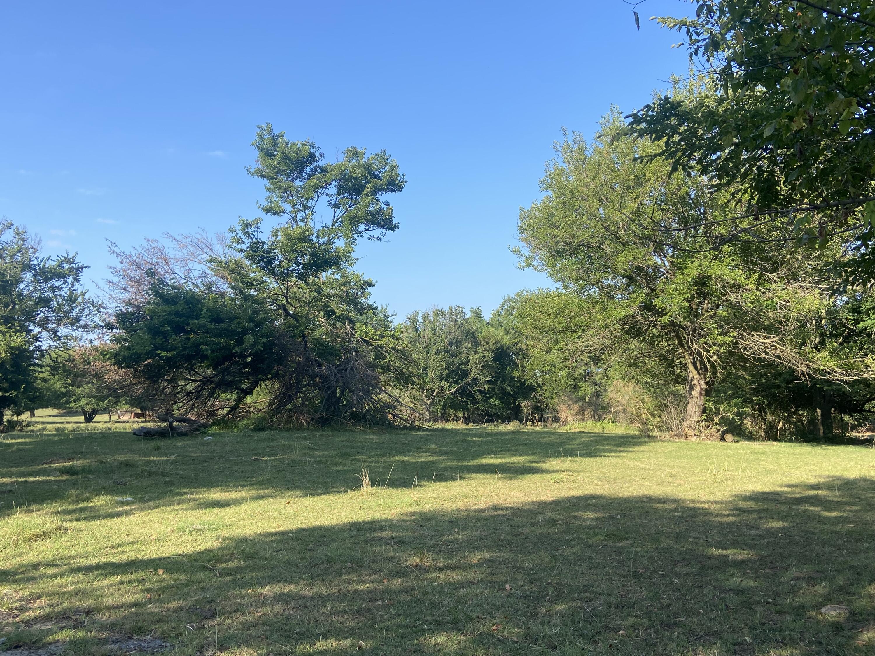 Photo 8 - Commercial Sale for sale – 3300 W Kearney   Springfield, MO