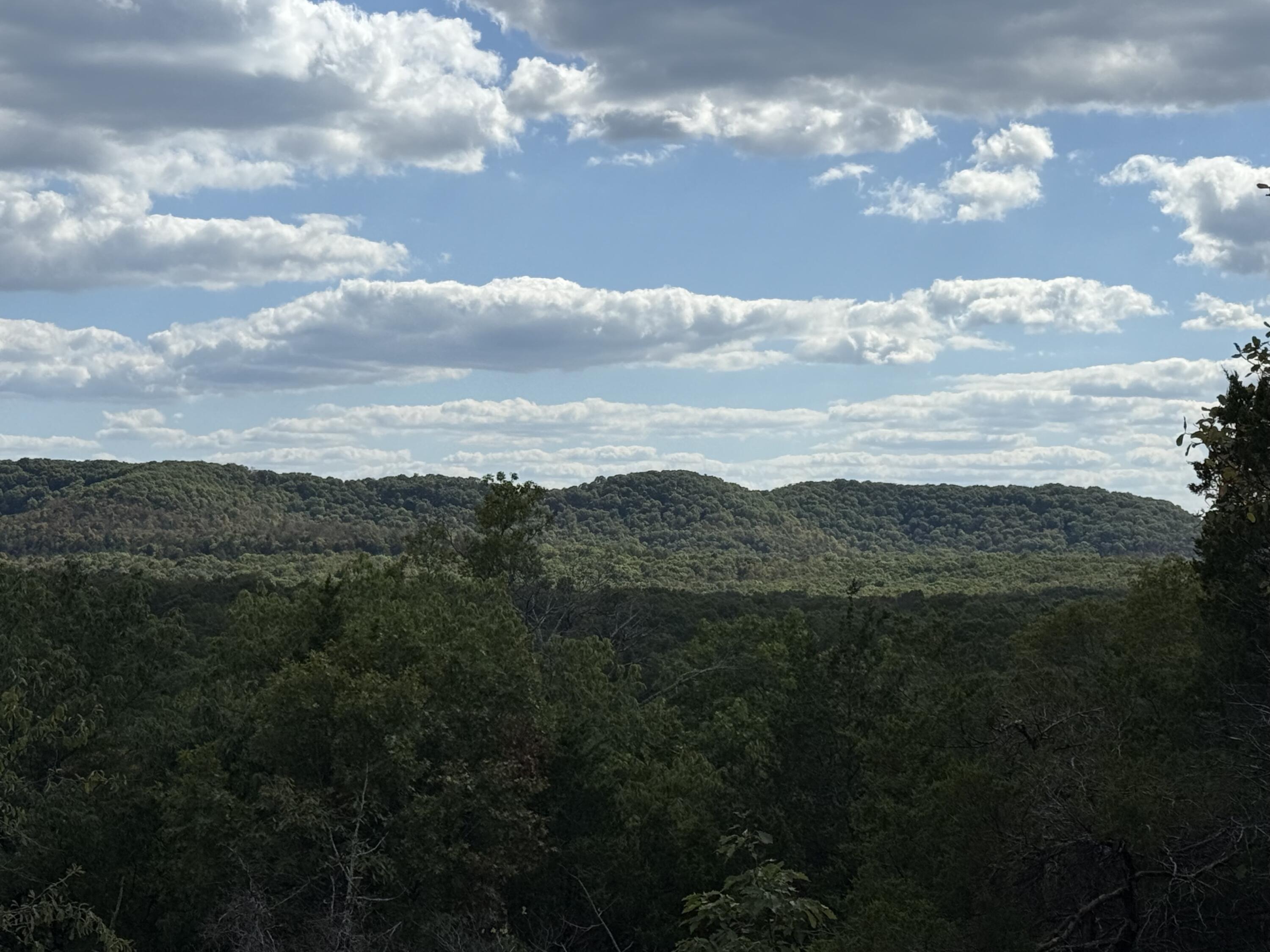 Photo 3 - Land for sale – 000  Mannon Road  Ava, MO