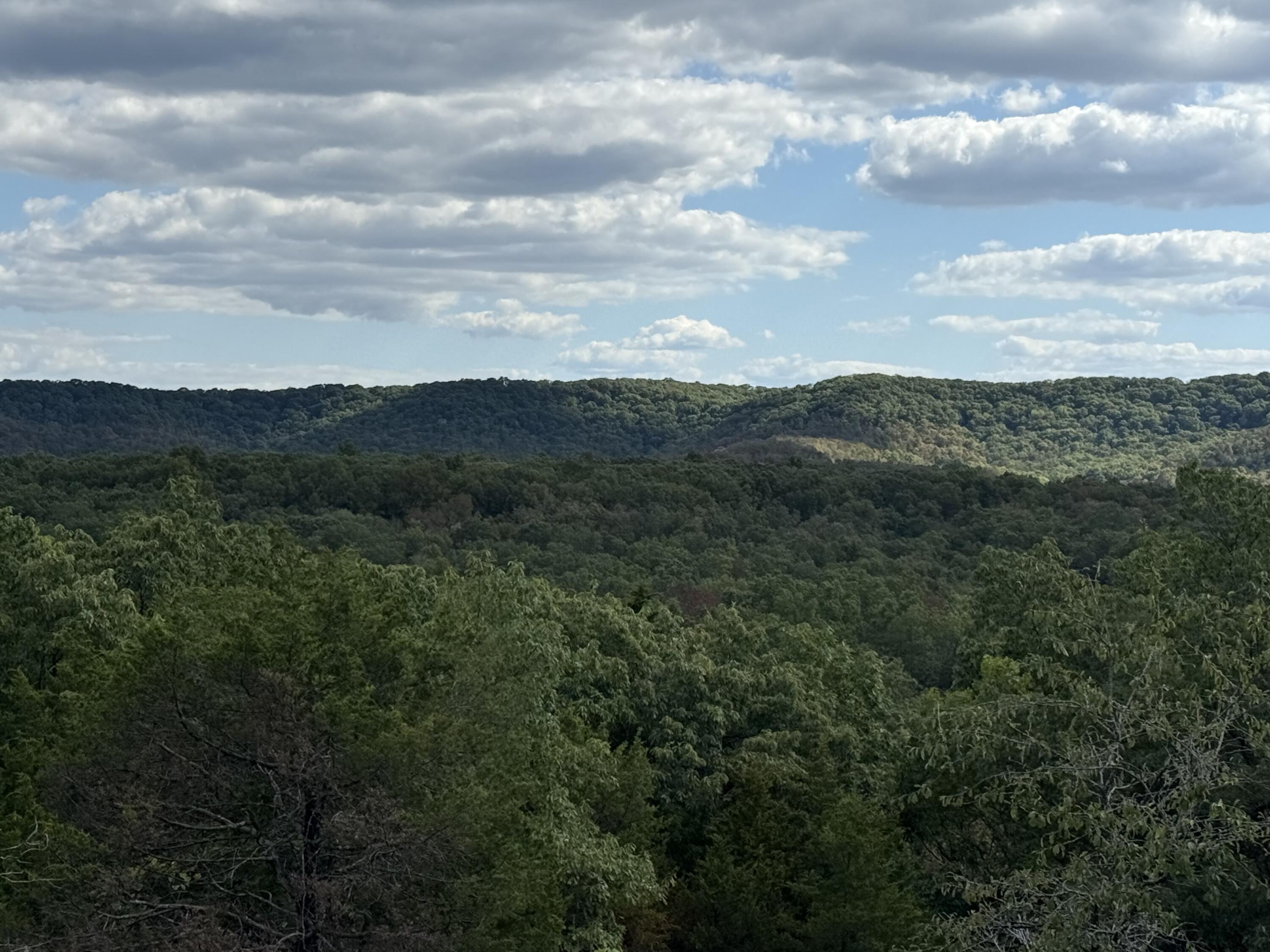 Land for sale – 000  Mannon Road  Ava, MO