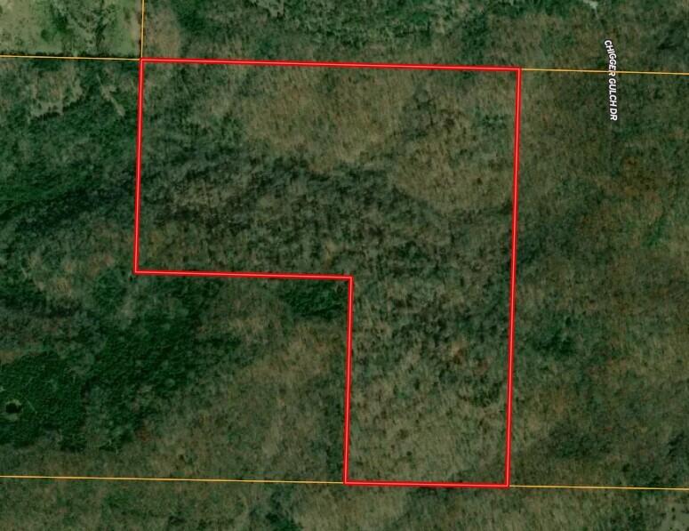 Photo 4 - Land for sale – 000  Mannon Road  Ava, MO