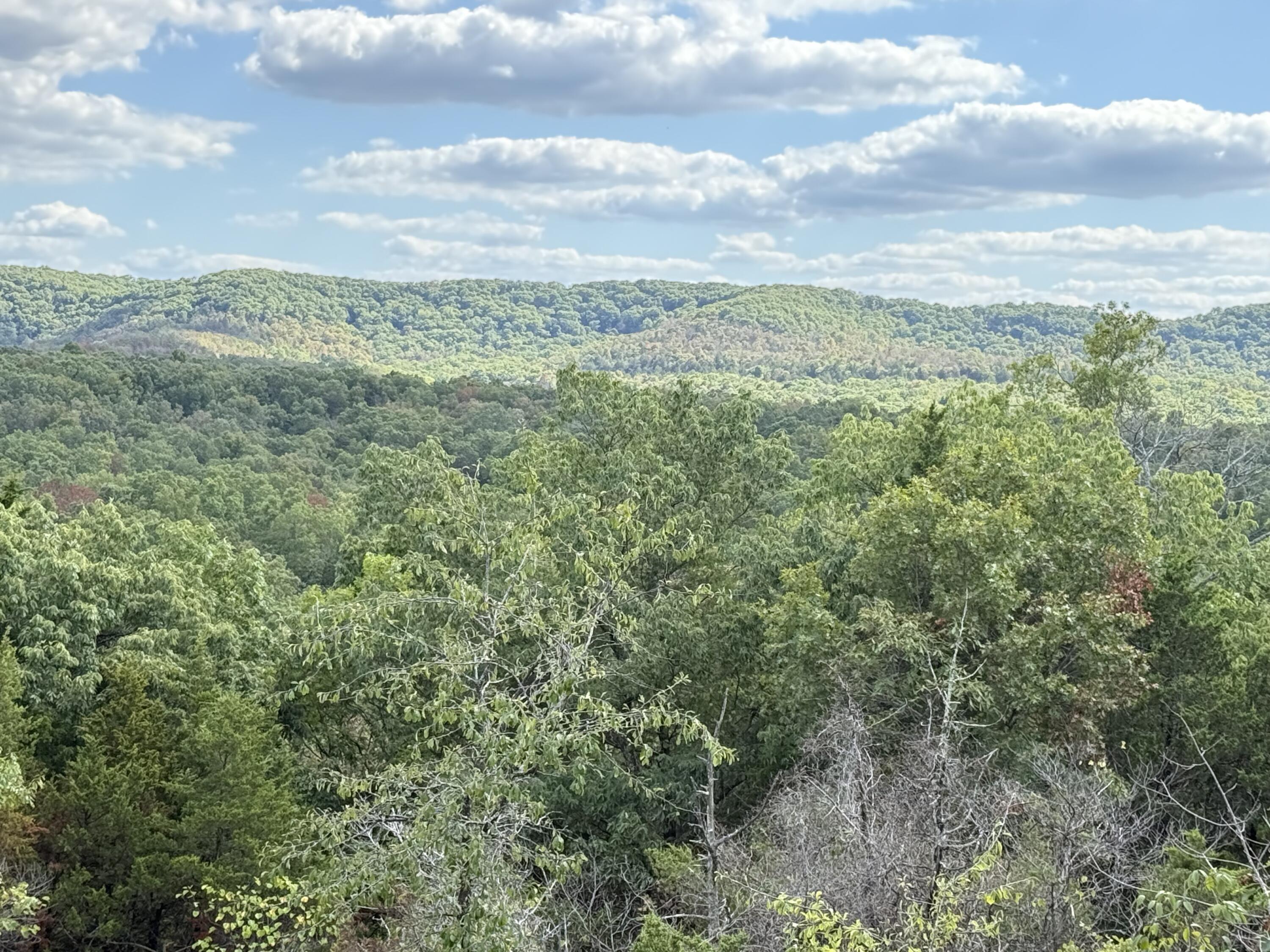 Photo 2 - Land for sale – 000  Mannon Road  Ava, MO
