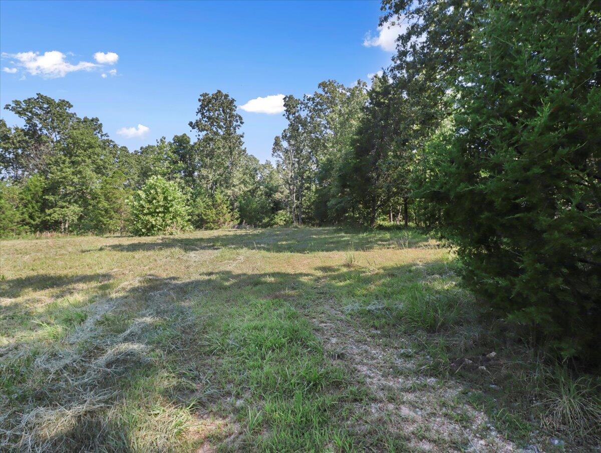 Photo 6 - Land for sale – 000  State Route Oo   Caulfield, MO