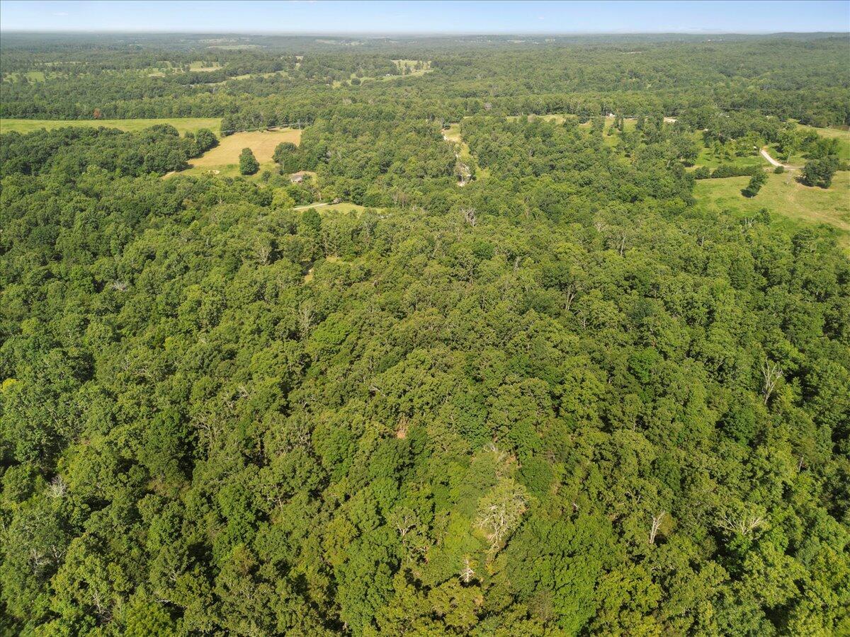 Photo 24 - Land for sale – 000  State Route Oo   Caulfield, MO
