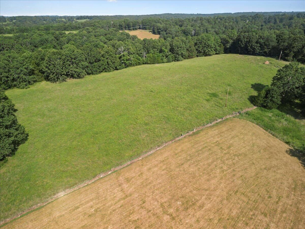 Photo 19 - Land for sale – 000  State Route Oo   Caulfield, MO