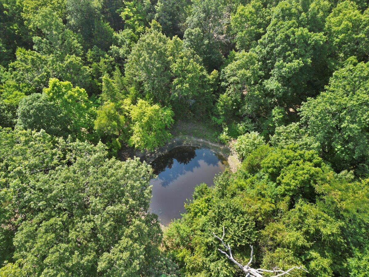 Photo 14 - Land for sale – 000  State Route Oo   Caulfield, MO