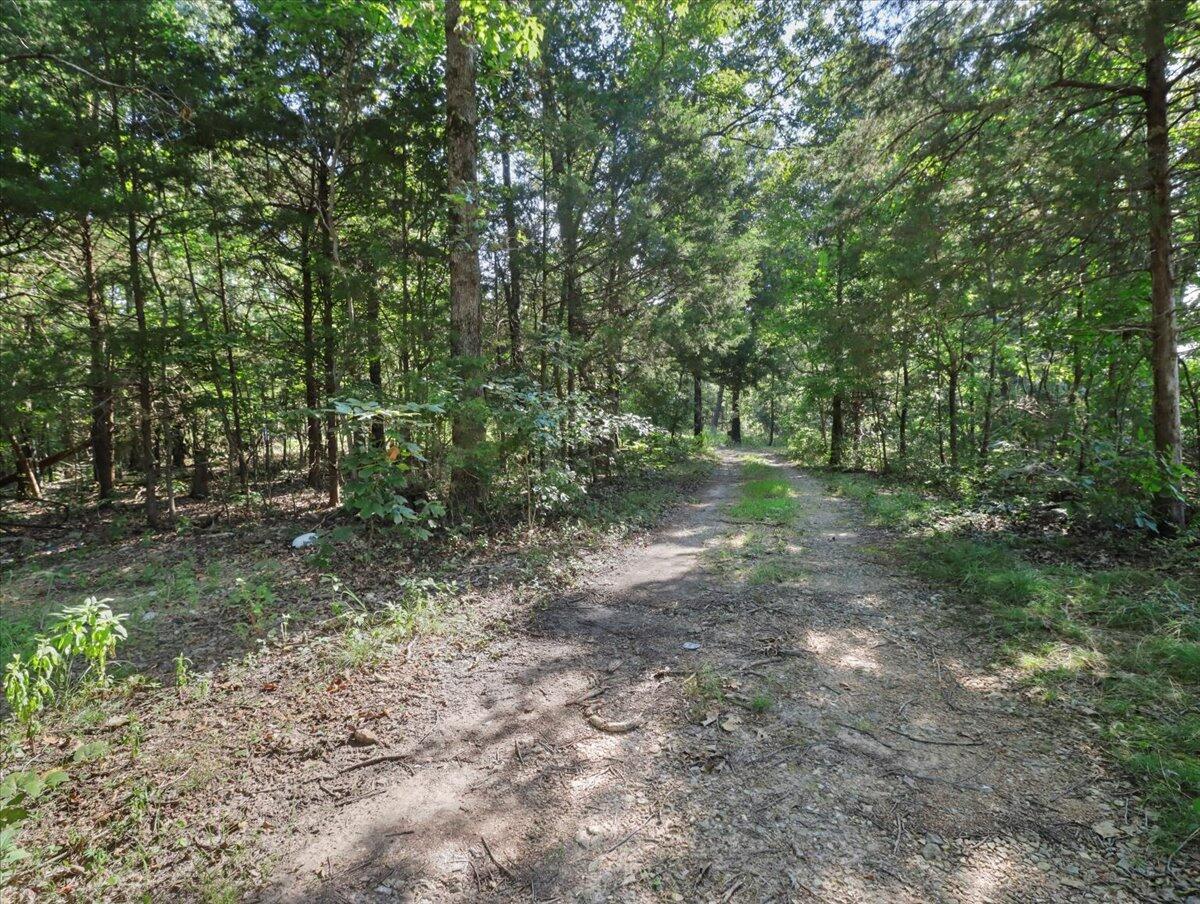 Photo 21 - Land for sale – 000  State Route Oo   Caulfield, MO