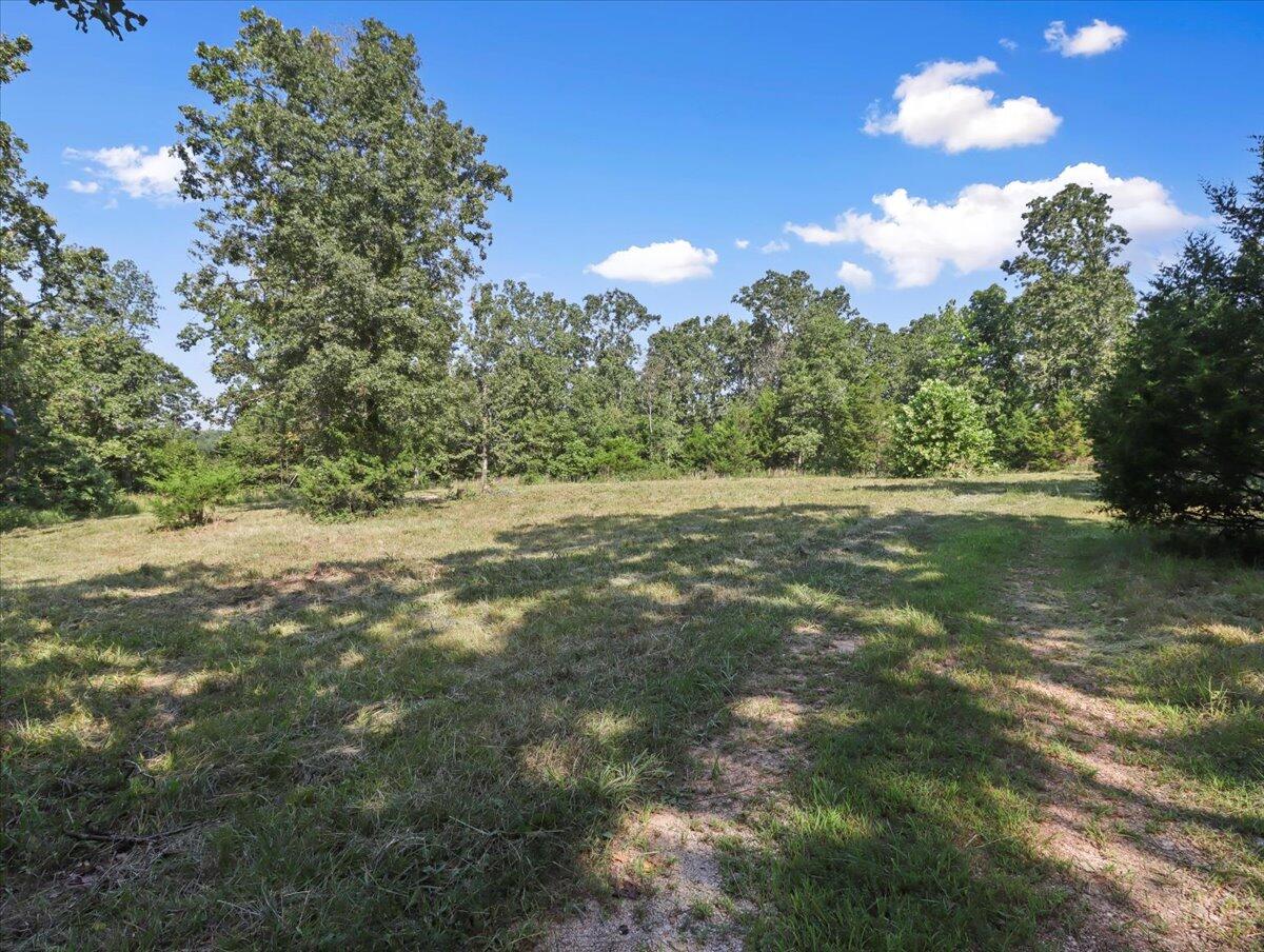 Photo 7 - Land for sale – 000  State Route Oo   Caulfield, MO