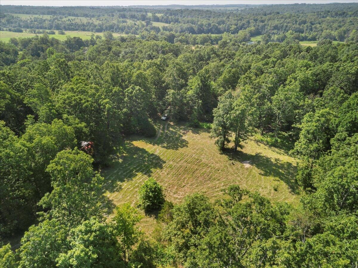 Photo 13 - Land for sale – 000  State Route Oo   Caulfield, MO