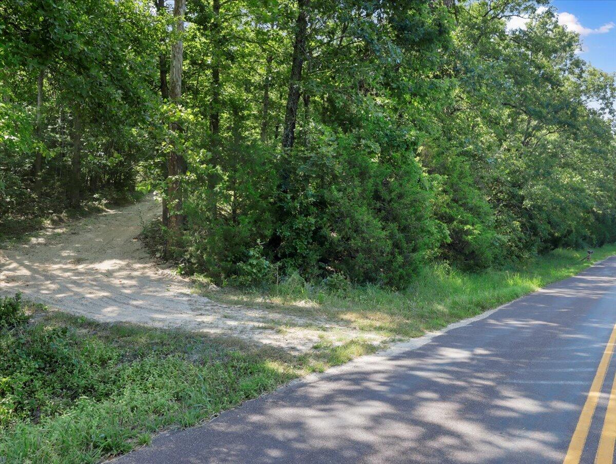 Photo 8 - Land for sale – 000  State Route Oo   Caulfield, MO