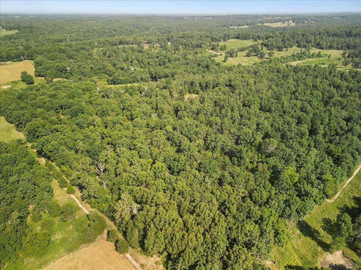Photo 15 - Land for sale – 000  State Route Oo   Caulfield, MO