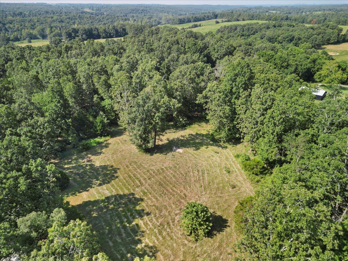 Photo 11 - Land for sale – 000  State Route Oo   Caulfield, MO