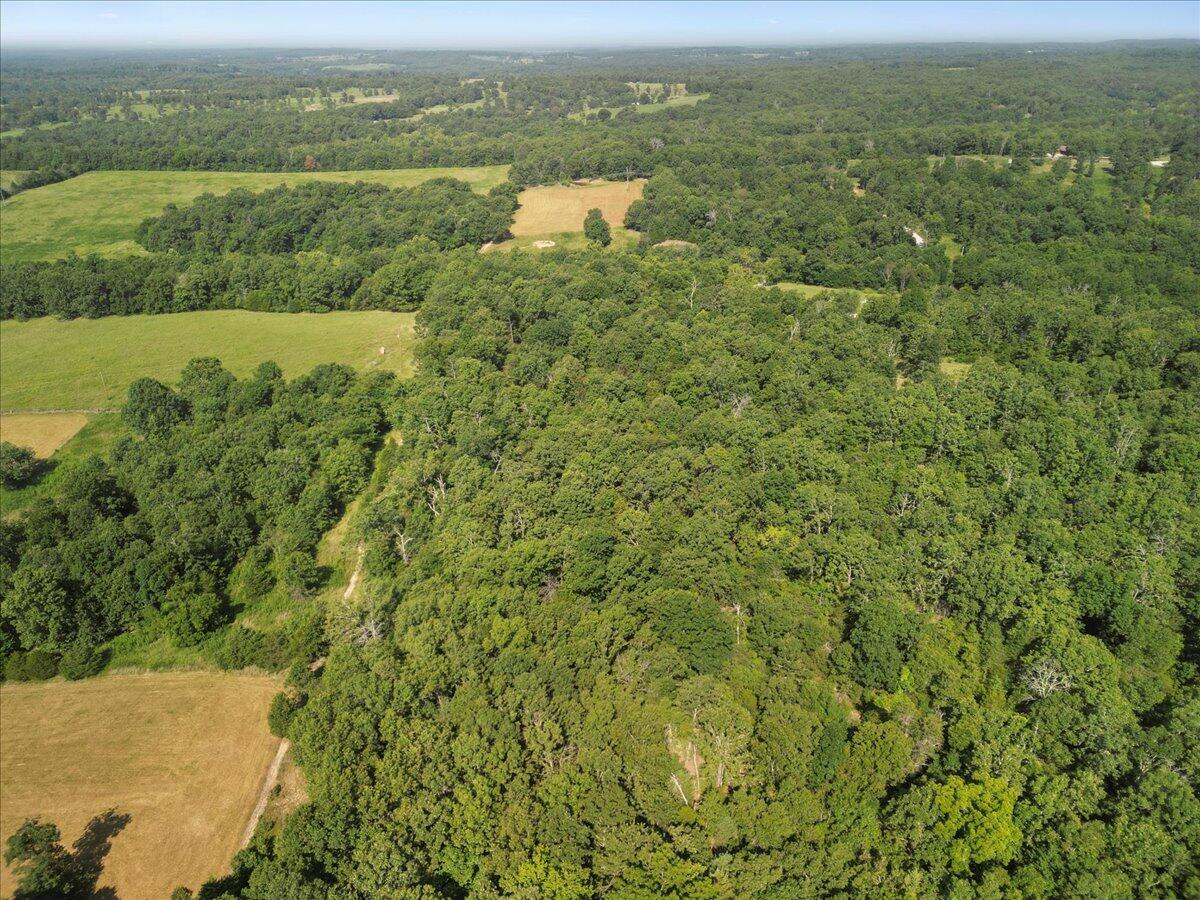 Photo 10 - Land for sale – 000  State Route Oo   Caulfield, MO