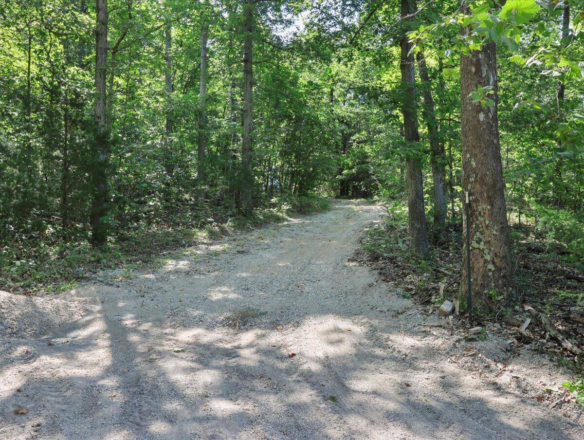 Photo 2 - Land for sale – 000  State Route Oo   Caulfield, MO