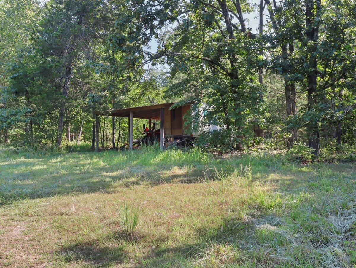 Photo 4 - Land for sale – 000  State Route Oo   Caulfield, MO