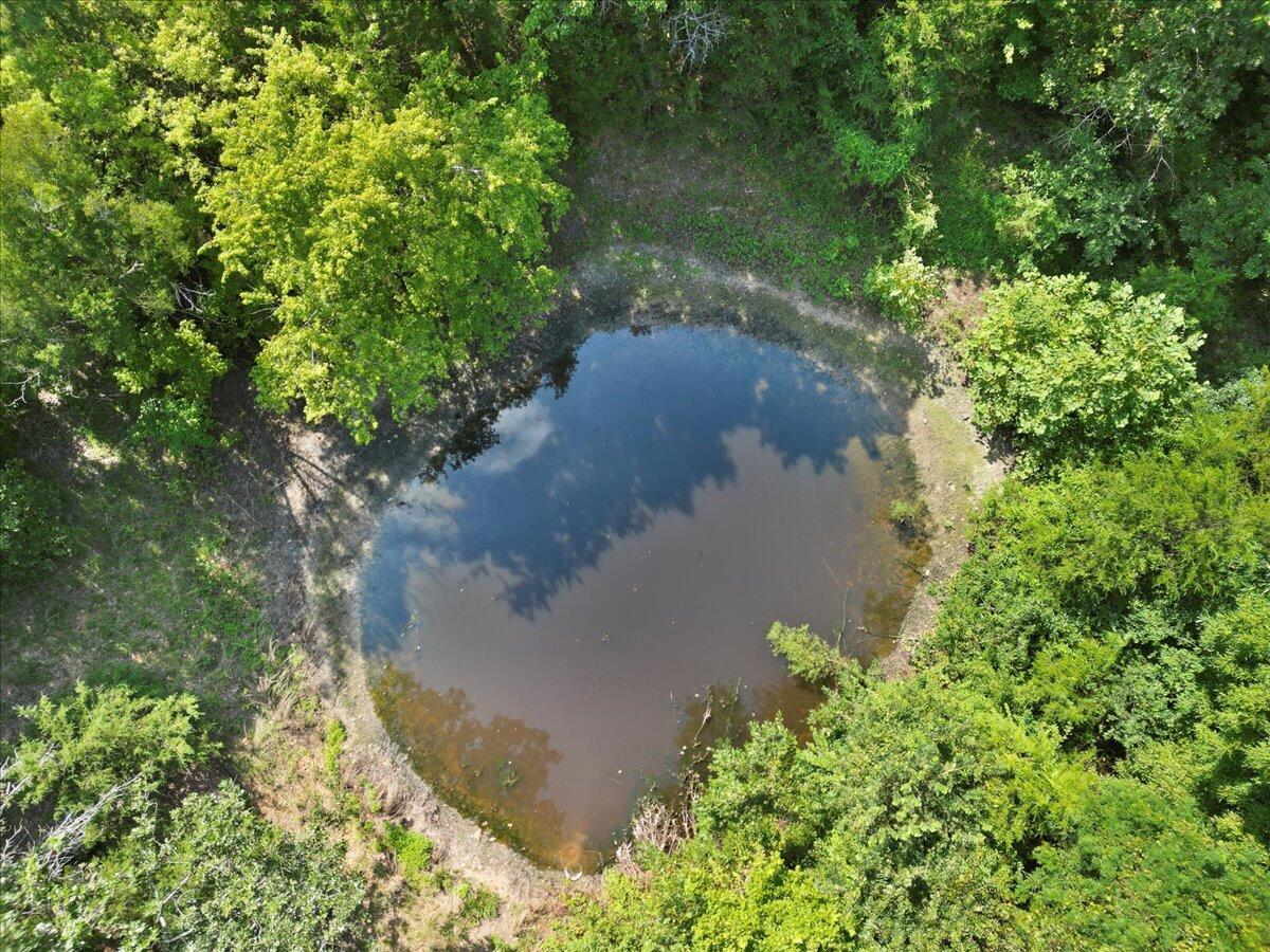 Photo 3 - Land for sale – 000  State Route Oo   Caulfield, MO