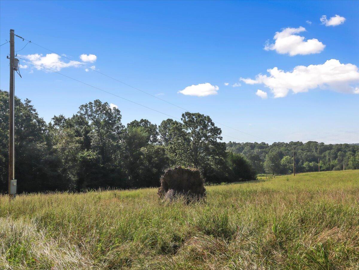 Photo 17 - Land for sale – 000  State Route Oo   Caulfield, MO