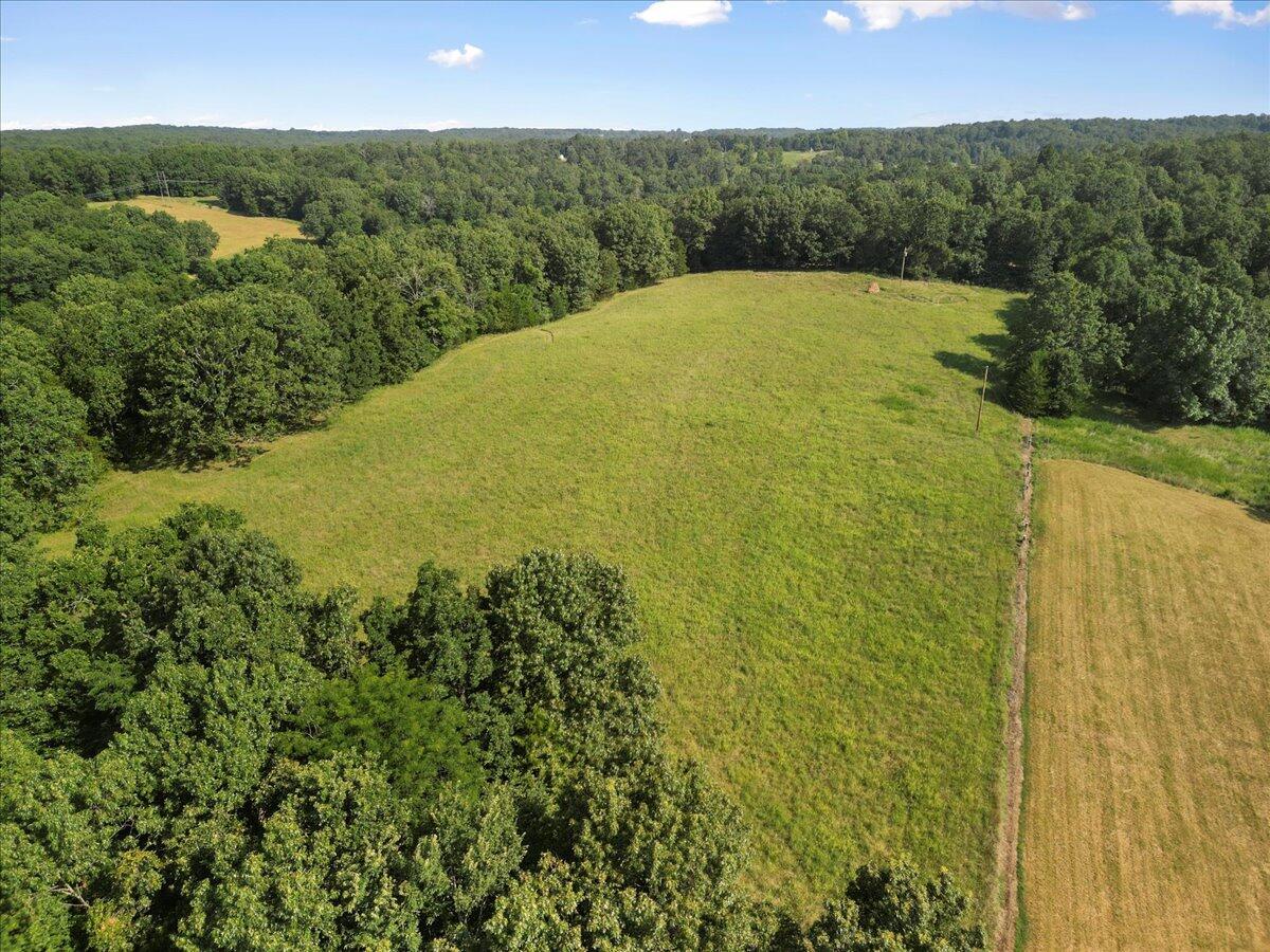 Photo 18 - Land for sale – 000  State Route Oo   Caulfield, MO