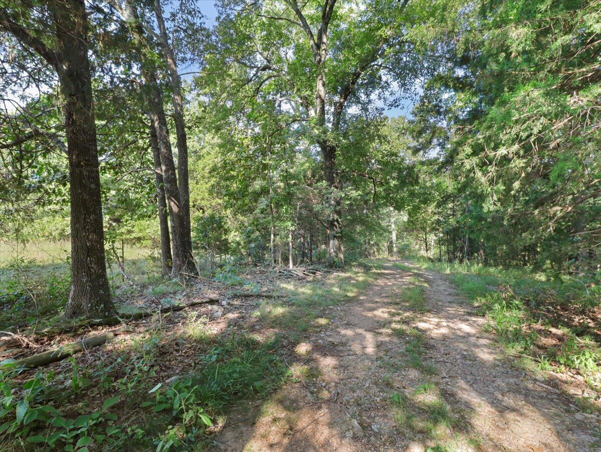Photo 16 - Land for sale – 000  State Route Oo   Caulfield, MO