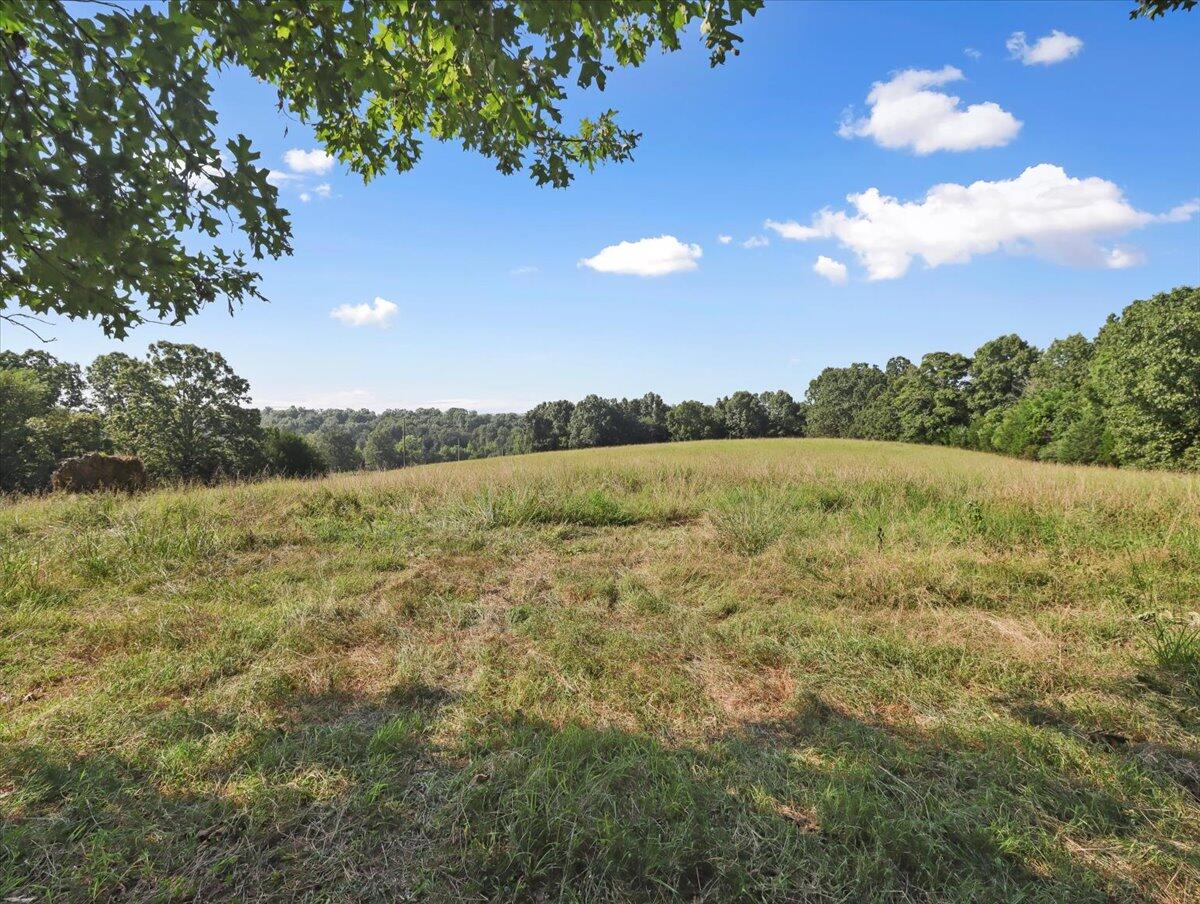 Land for sale – 000  State Route Oo   Caulfield, MO