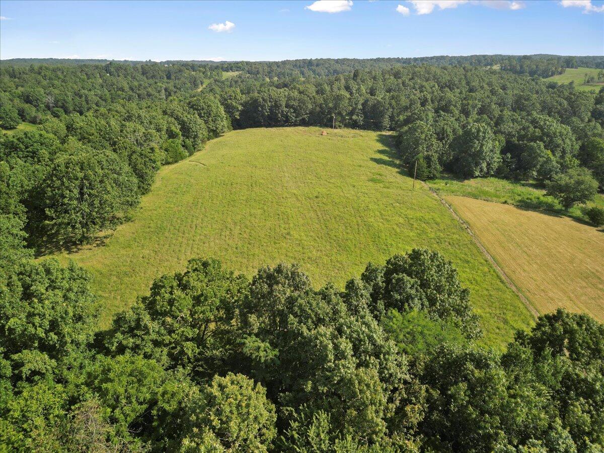 Photo 23 - Land for sale – 000  State Route Oo   Caulfield, MO