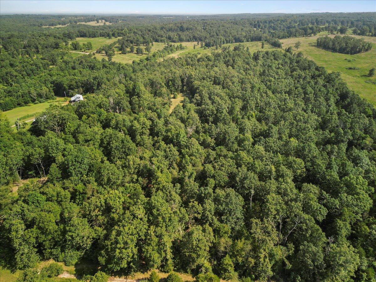 Photo 20 - Land for sale – 000  State Route Oo   Caulfield, MO