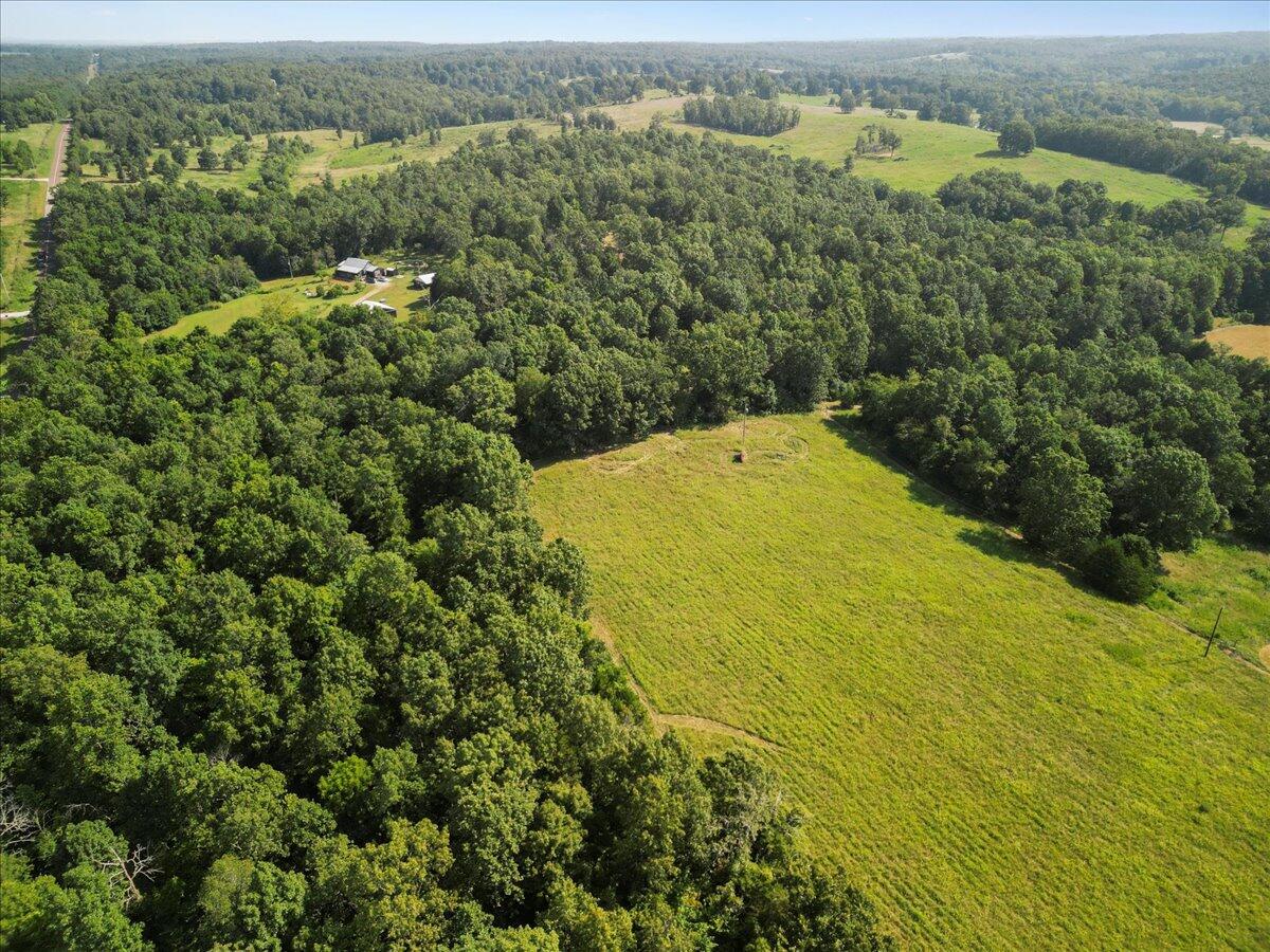 Photo 12 - Land for sale – 000  State Route Oo   Caulfield, MO