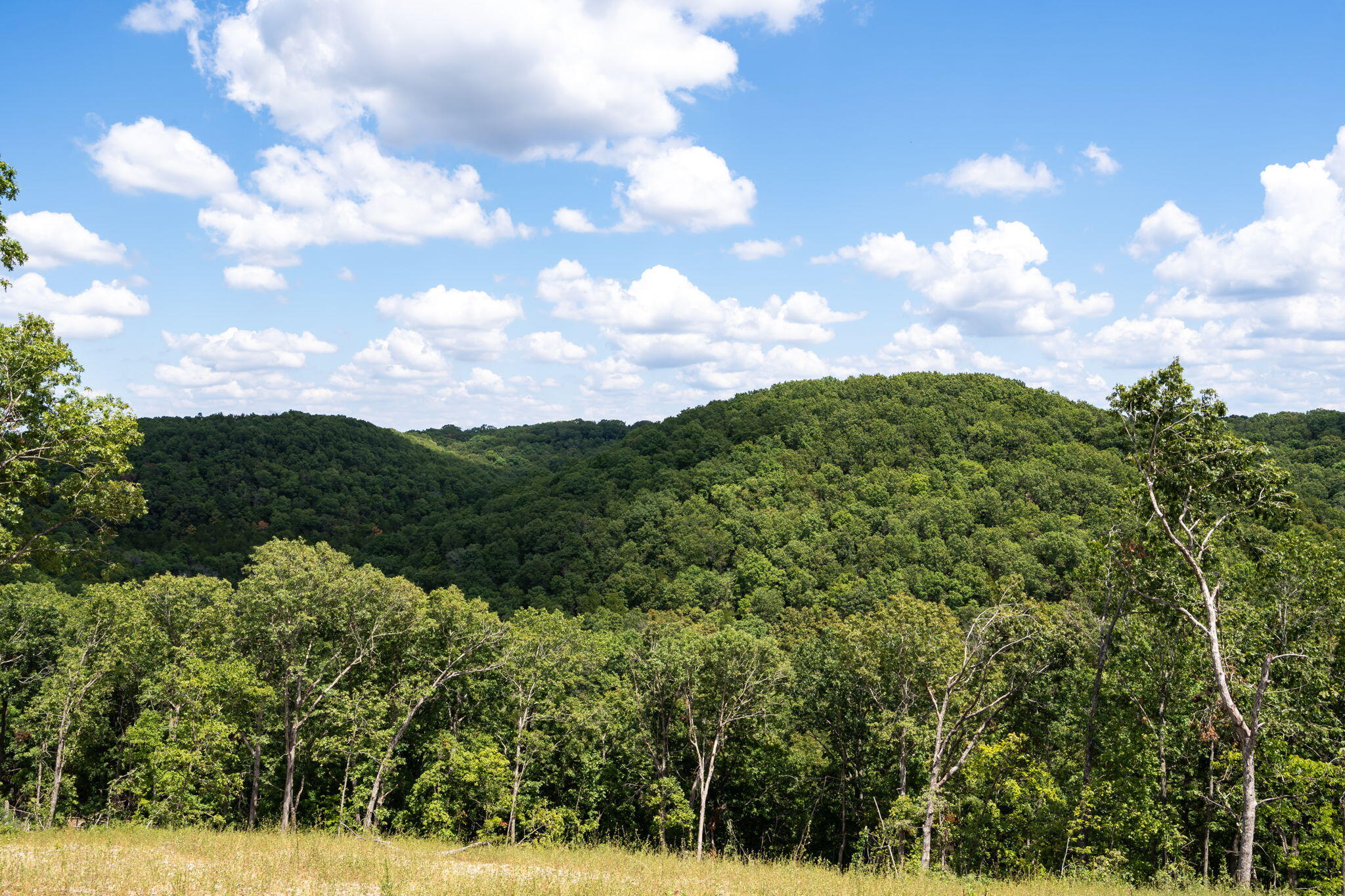 Photo 17 - Land for sale – Tbd  State Hwy Y   Galena, MO
