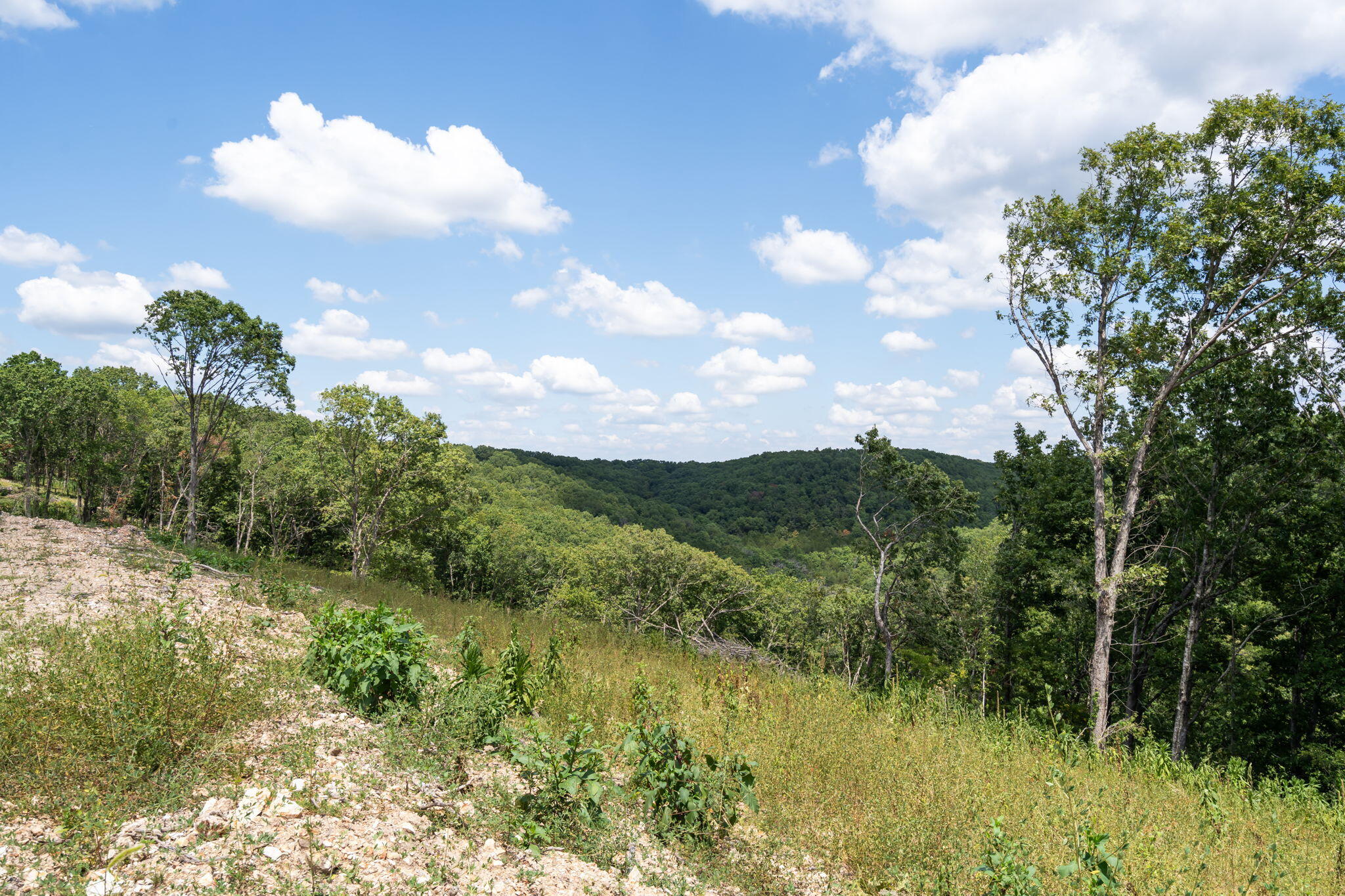 Photo 16 - Land for sale – Tbd  State Hwy Y   Galena, MO