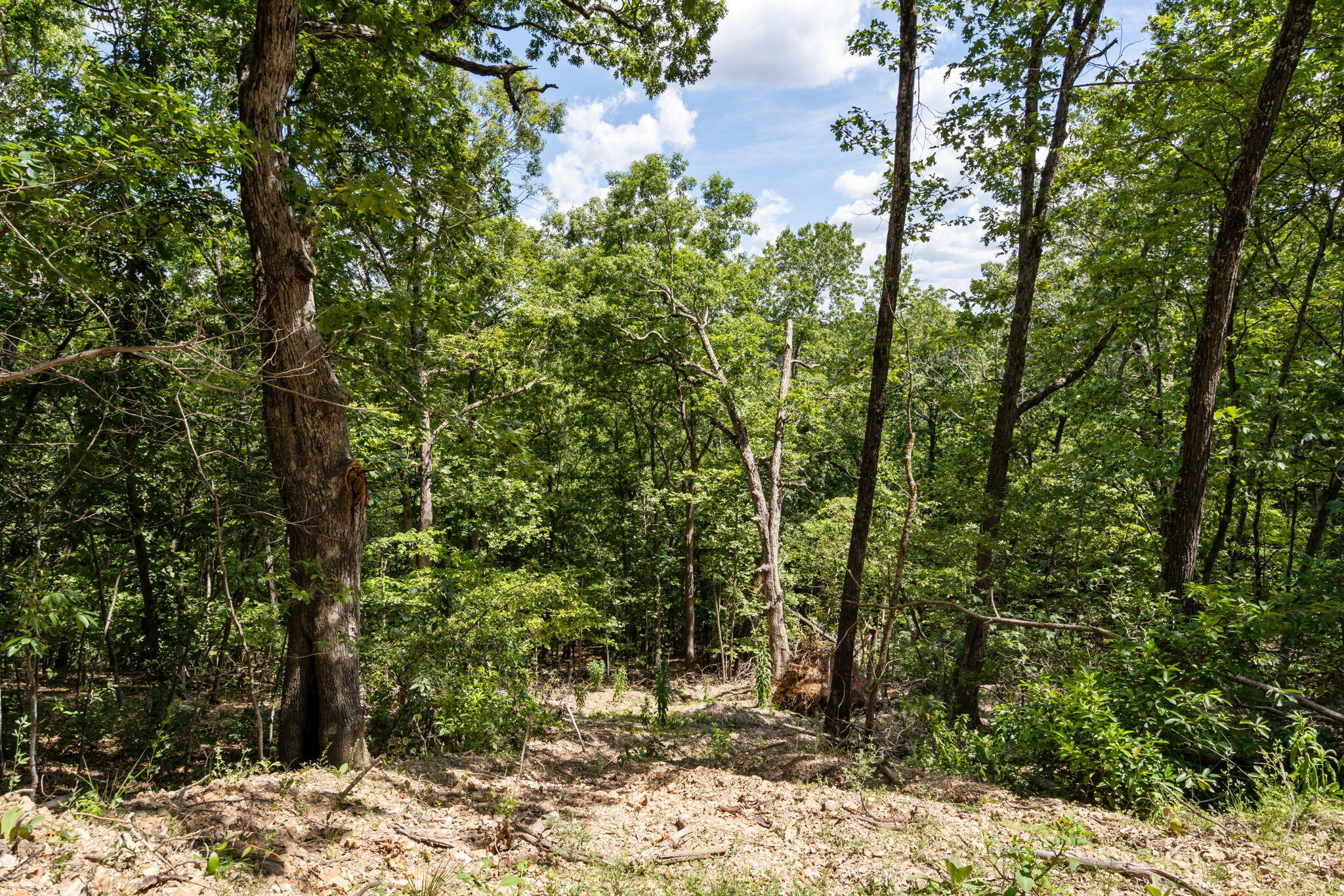 Photo 22 - Land for sale – Tbd  State Hwy Y   Galena, MO
