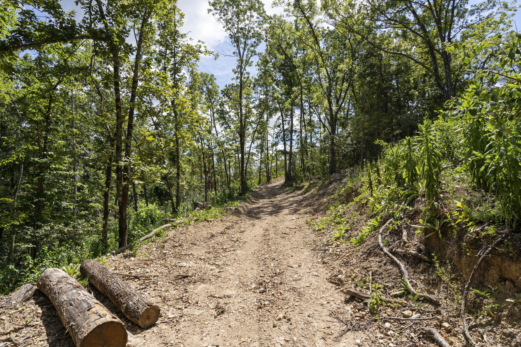 Photo 21 - Land for sale – Tbd  State Hwy Y   Galena, MO