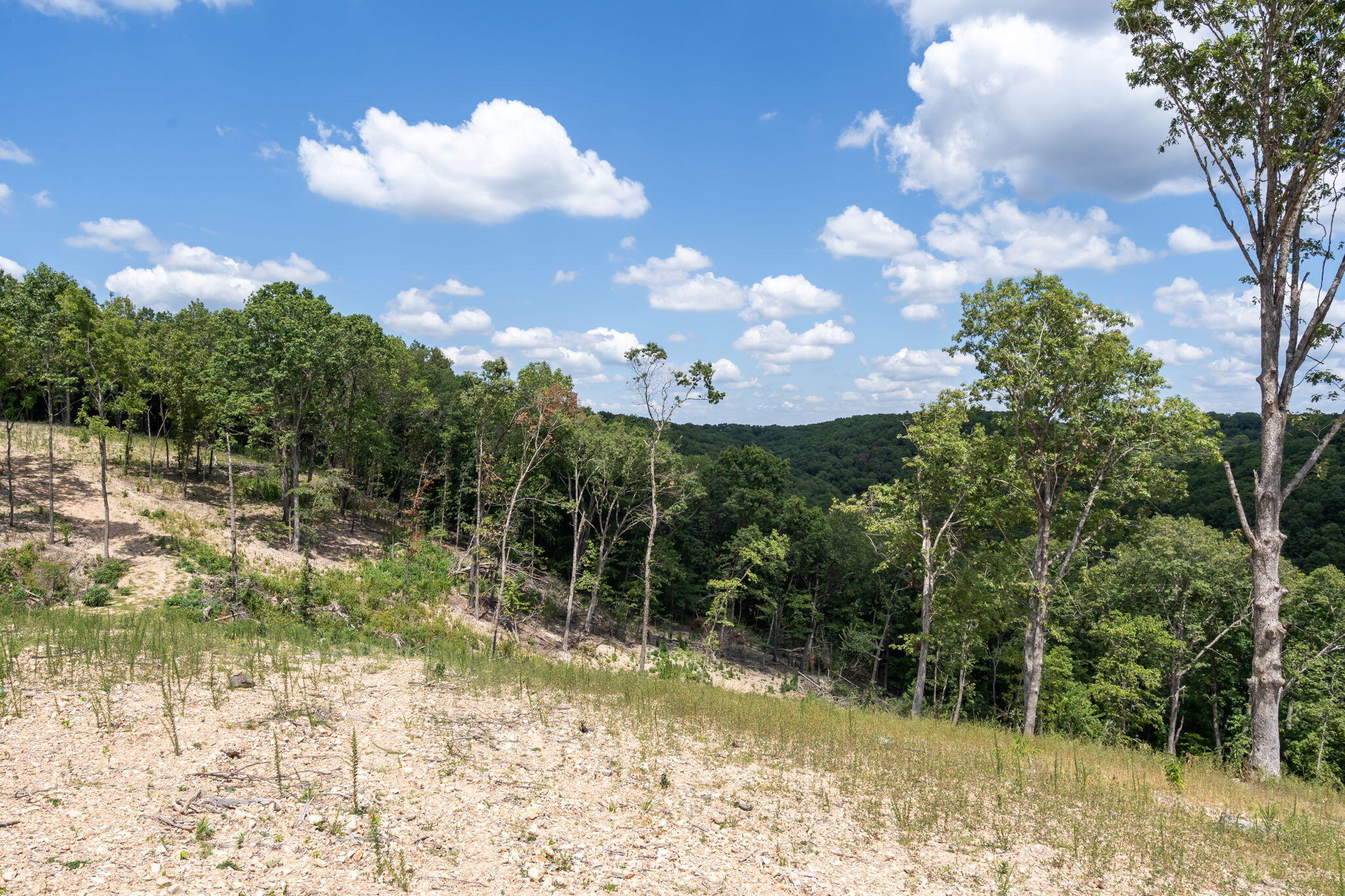 Photo 18 - Land for sale – Tbd  State Hwy Y   Galena, MO