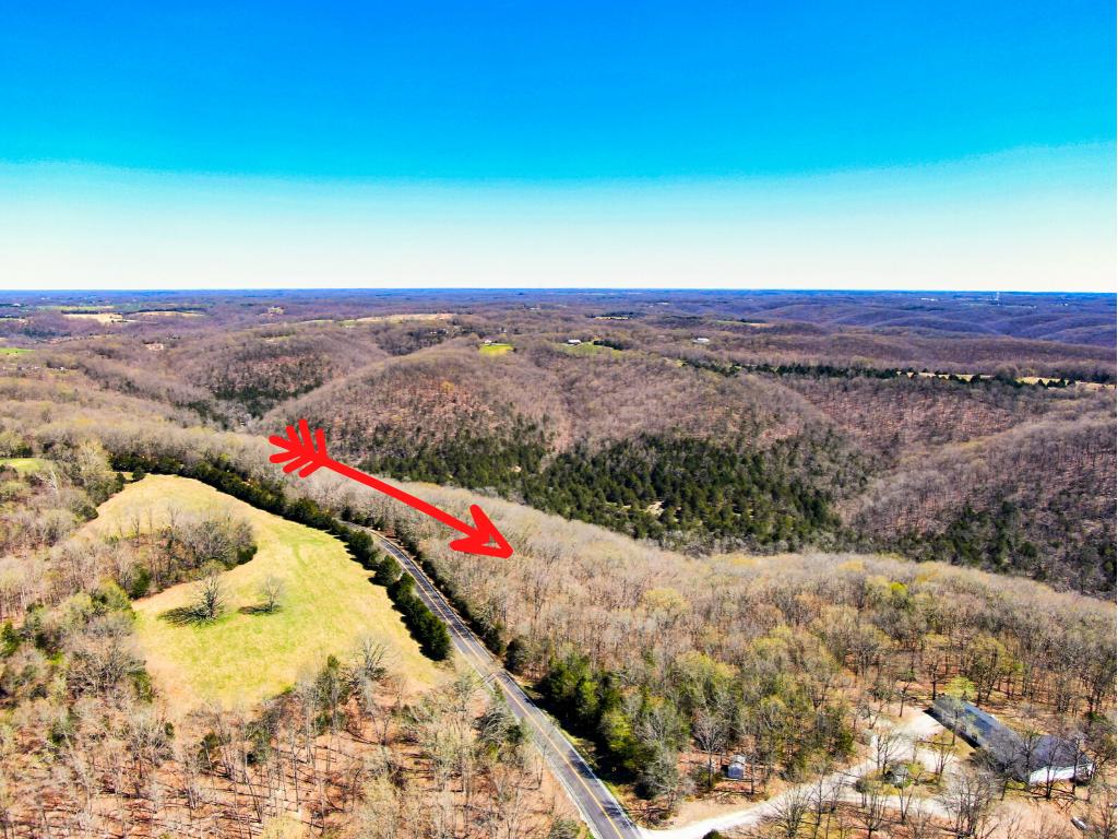 Photo 6 - Land for sale – Tbd  State Hwy Y   Galena, MO