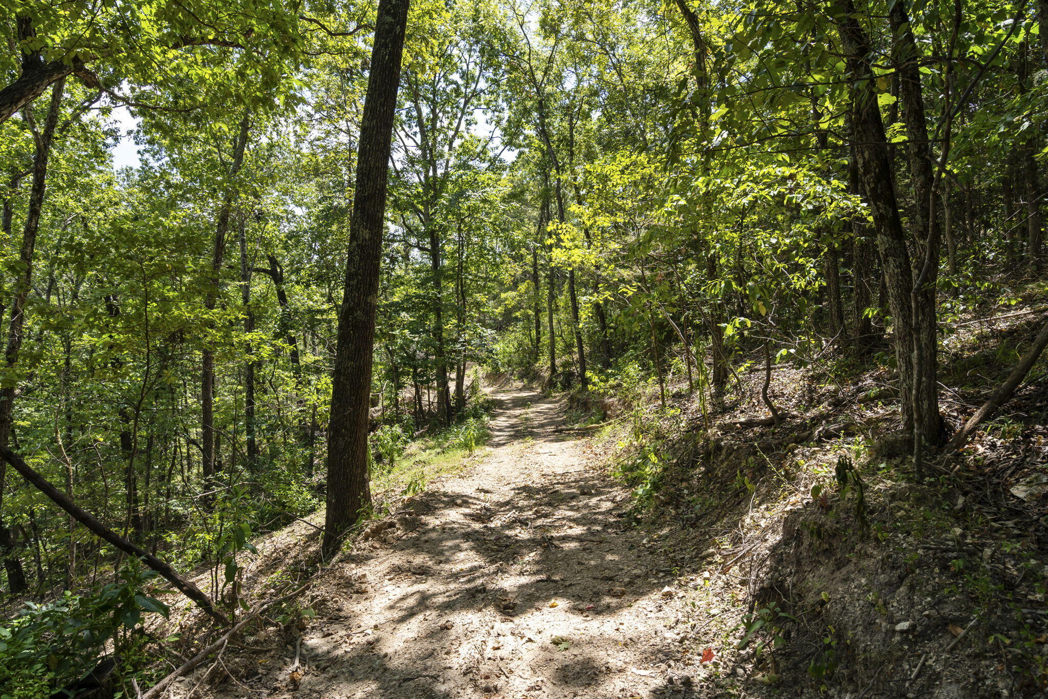 Photo 20 - Land for sale – Tbd  State Hwy Y   Galena, MO
