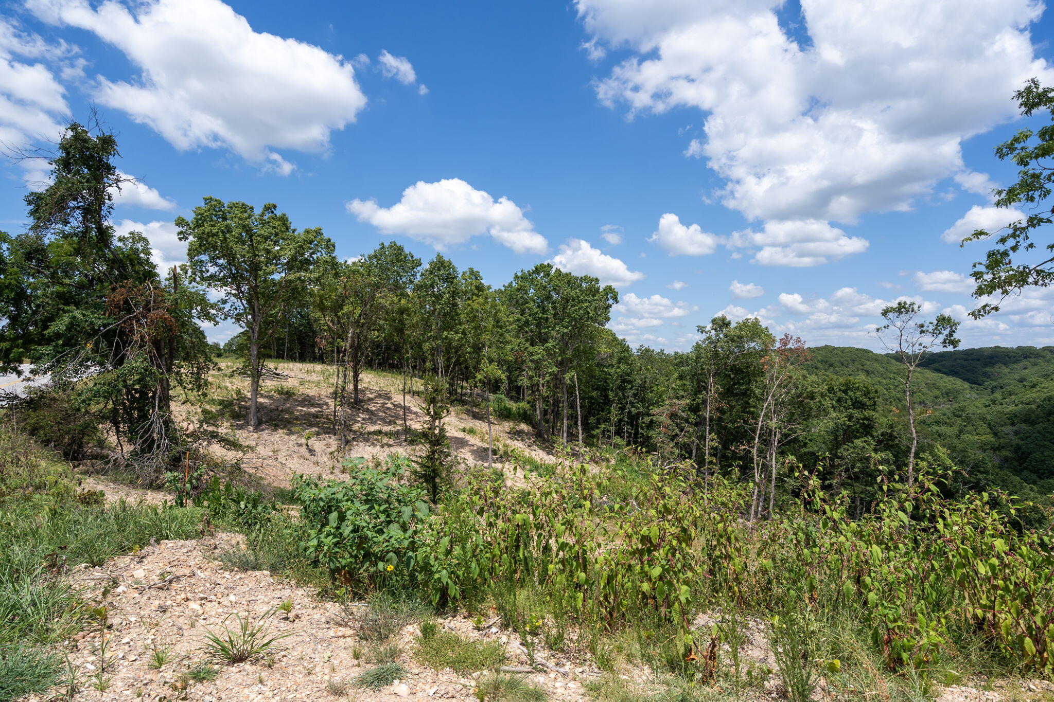 Photo 15 - Land for sale – Tbd  State Hwy Y   Galena, MO