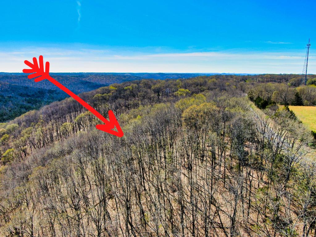 Photo 11 - Land for sale – Tbd  State Hwy Y   Galena, MO