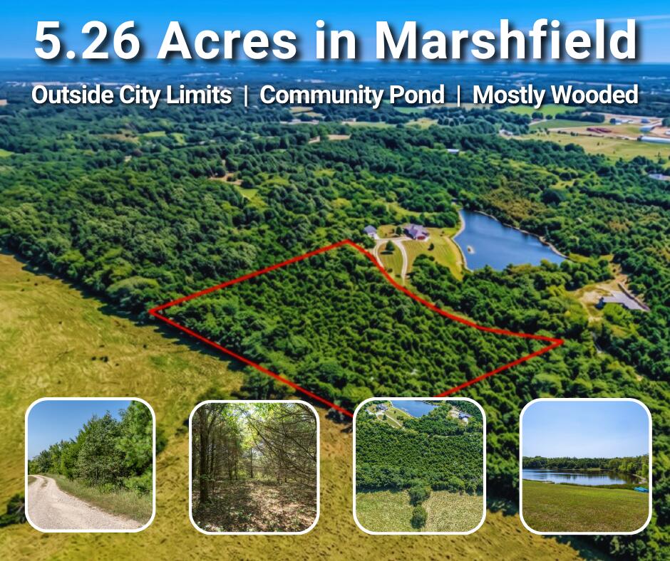 Photo 2 - Land for sale – 000  Beulah Creek Drive  Marshfield, MO