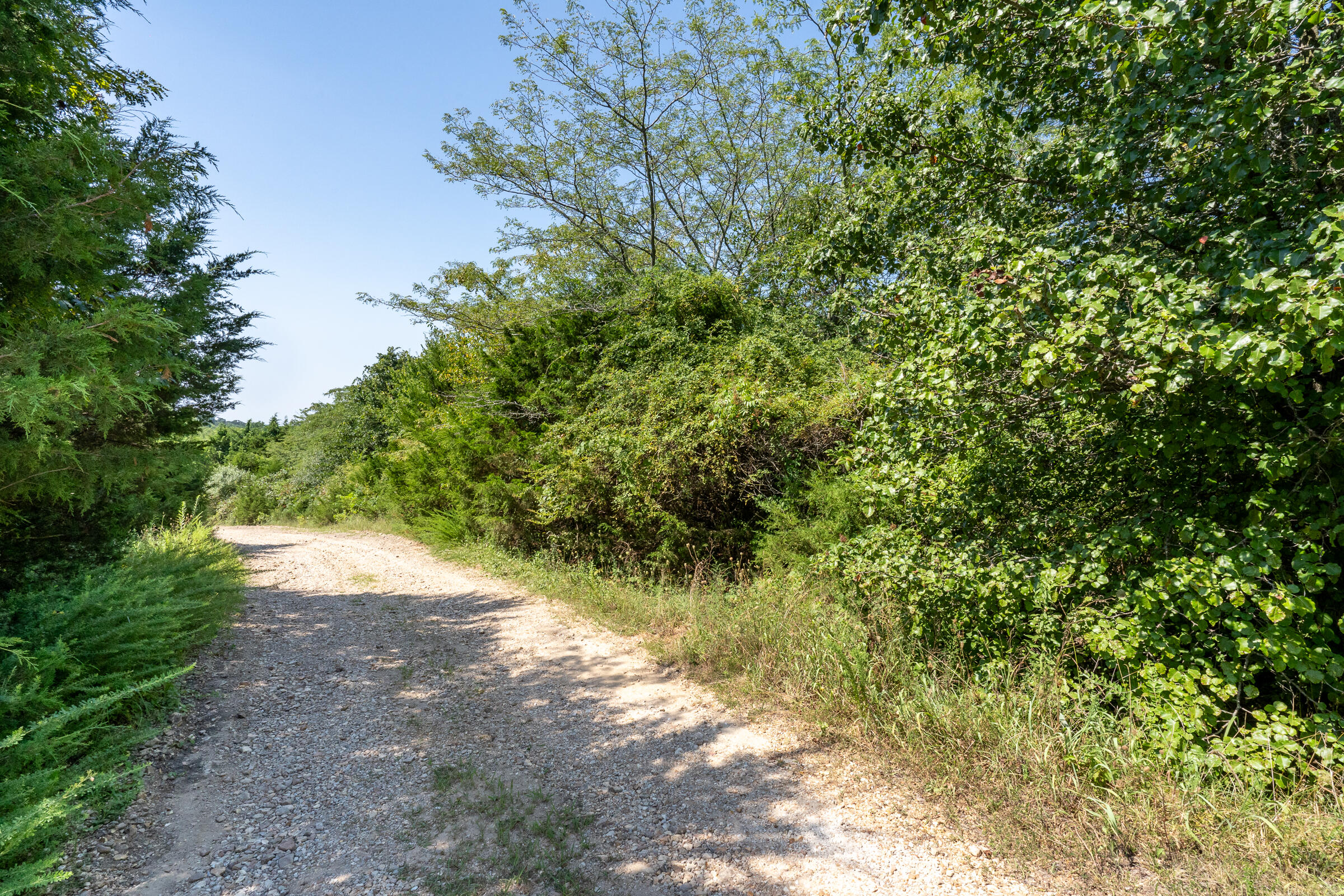 Photo 6 - Land for sale – 000  Beulah Creek Drive  Marshfield, MO