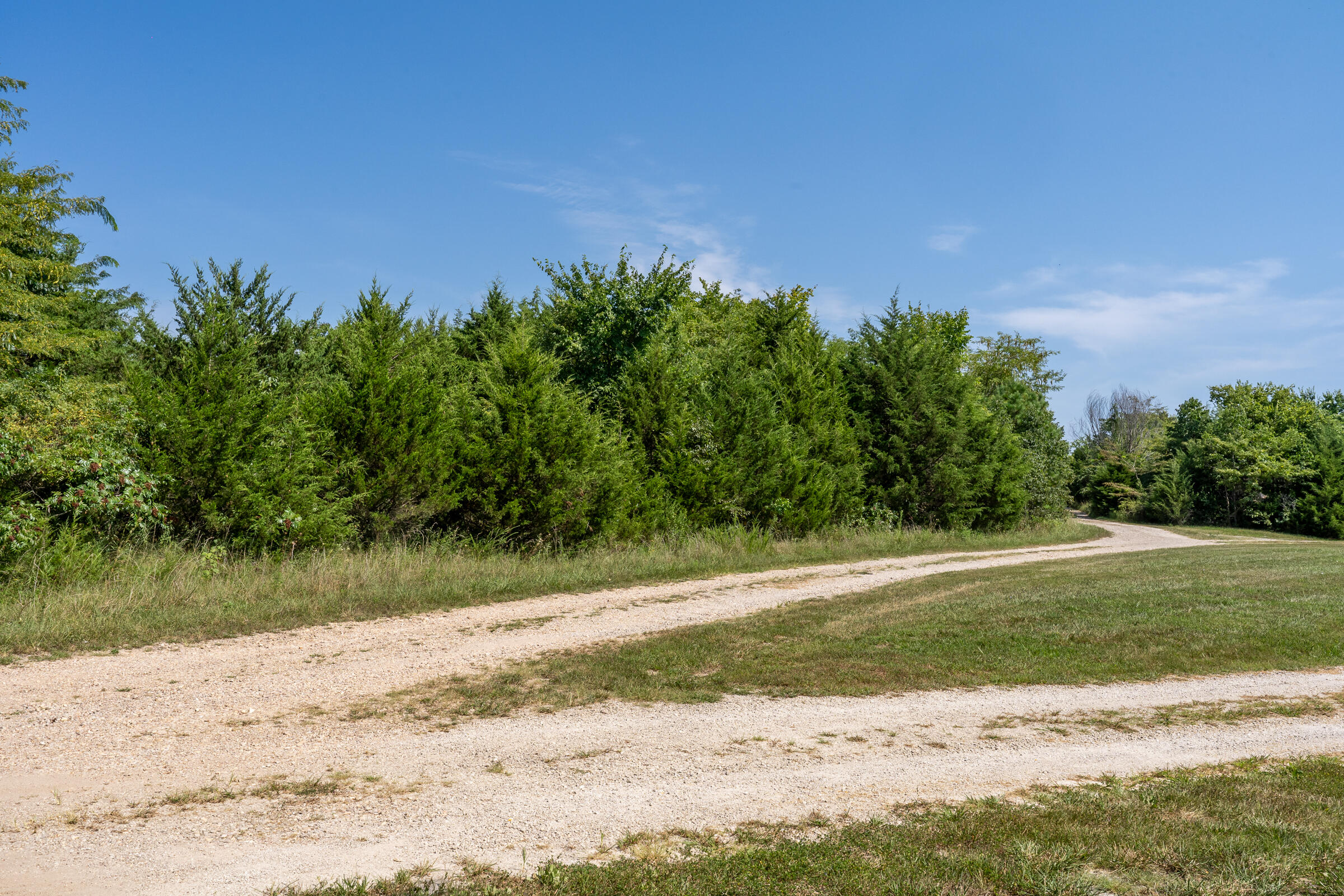 Photo 15 - Land for sale – 000  Beulah Creek Drive  Marshfield, MO