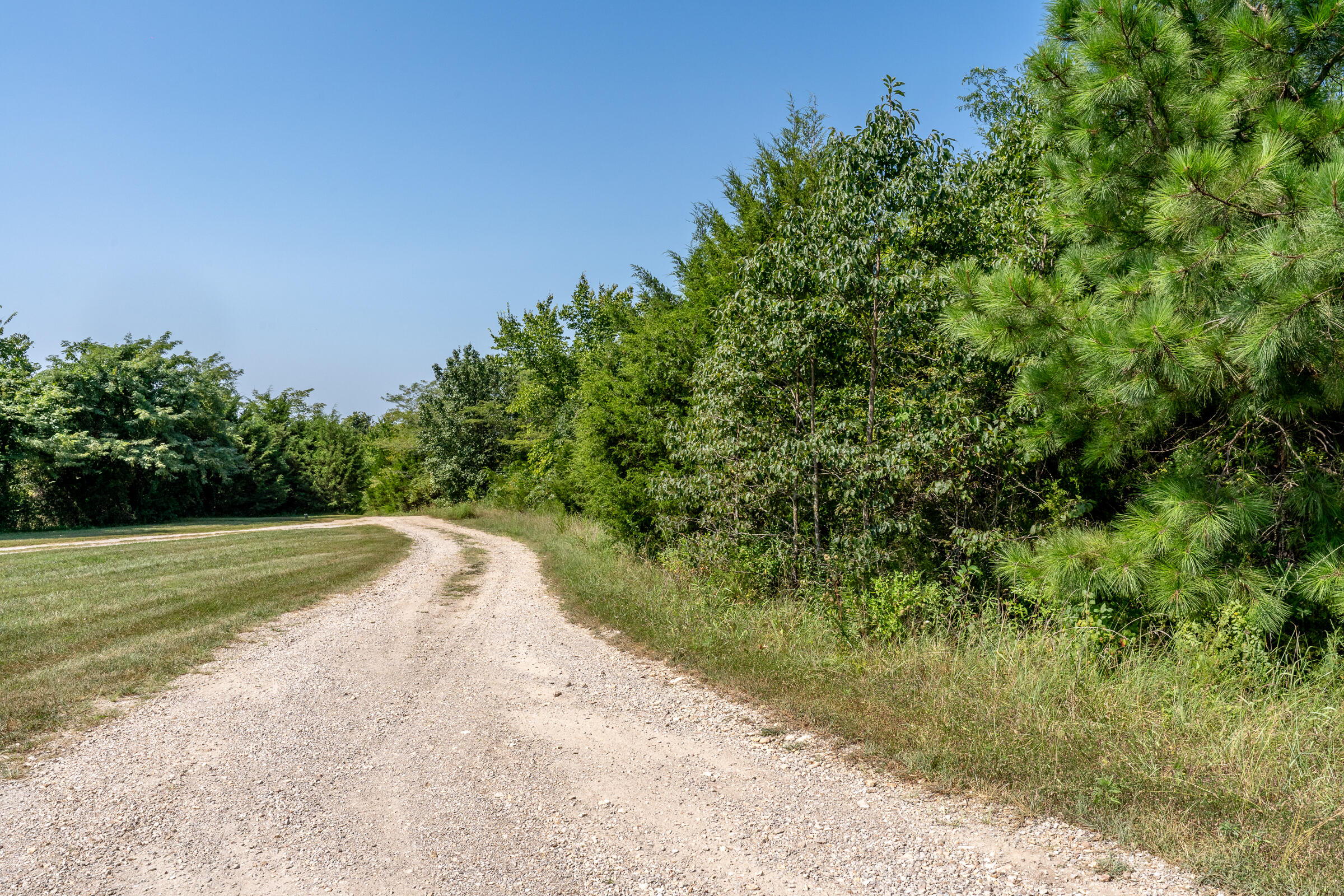 Photo 8 - Land for sale – 000  Beulah Creek Drive  Marshfield, MO