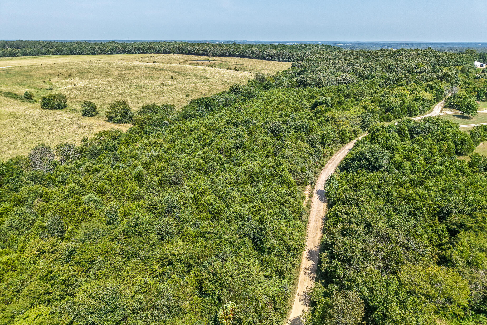 Photo 7 - Land for sale – 000  Beulah Creek Drive  Marshfield, MO