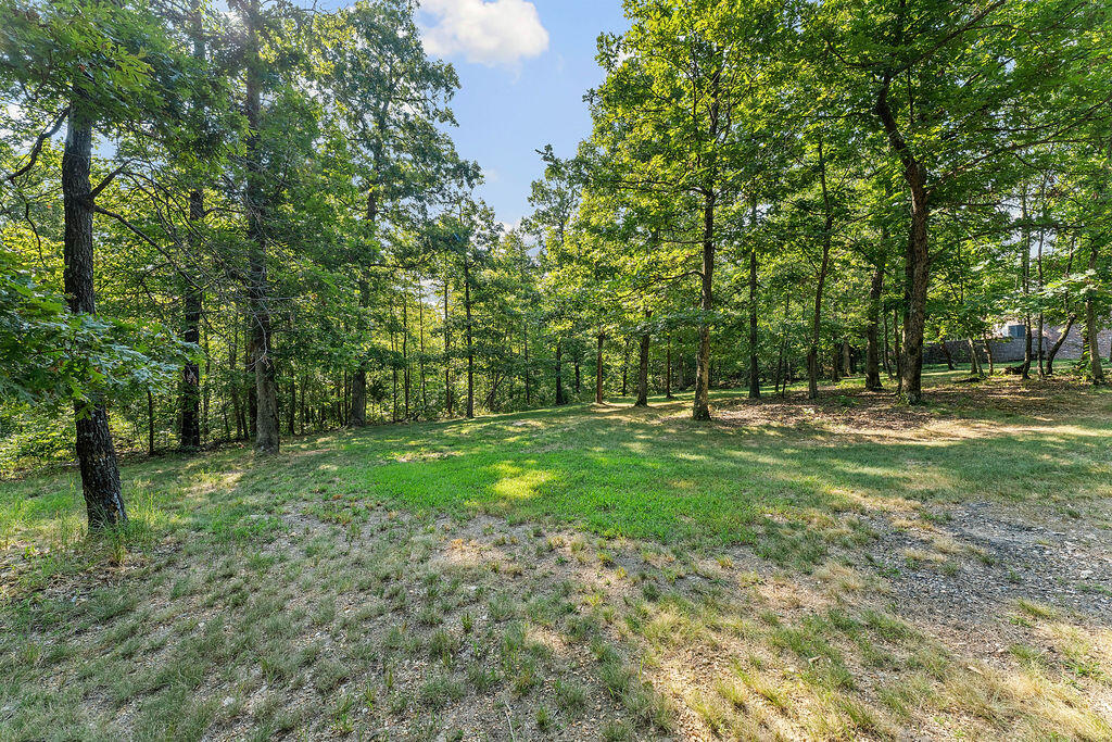 Photo 46 - Residential for sale – 7221 E State Highway 90   Pineville, MO